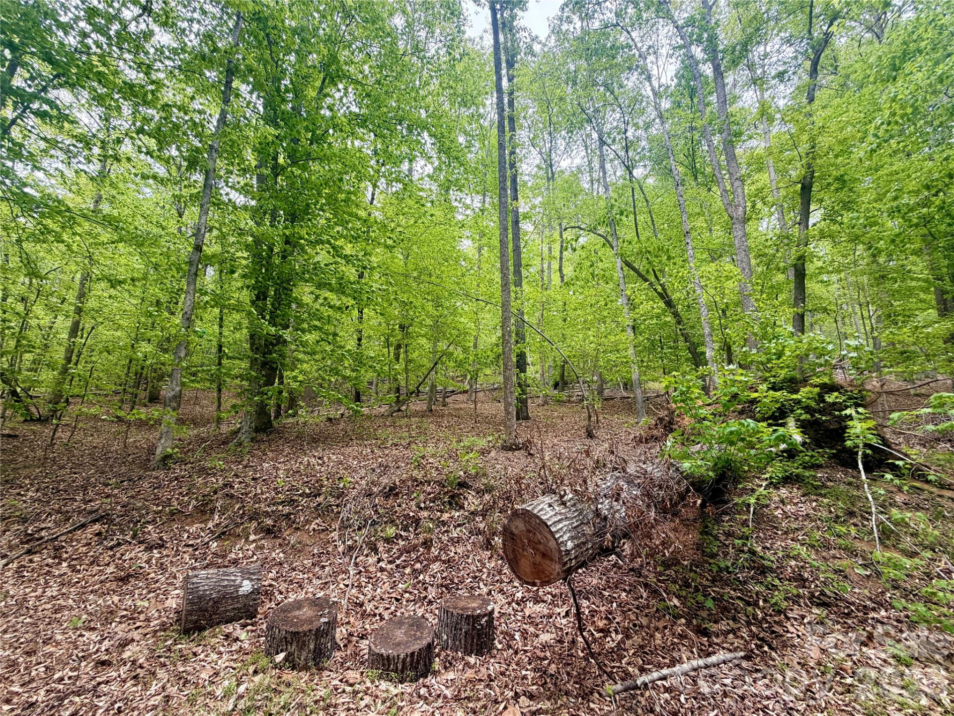 0 Polk County Line Road - Photo 10