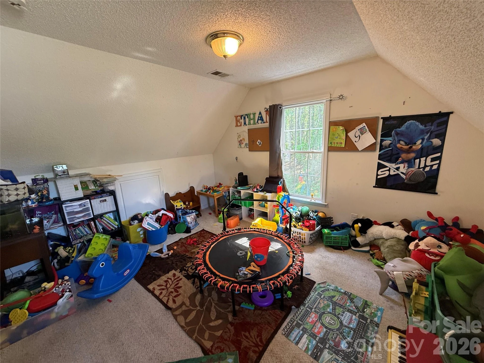 600 Blossom Hill Road - Photo 13