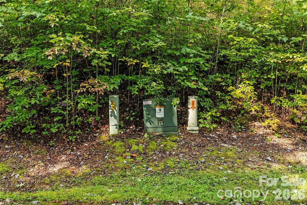 TBD Barts Branch Drive #16 - Photo 3