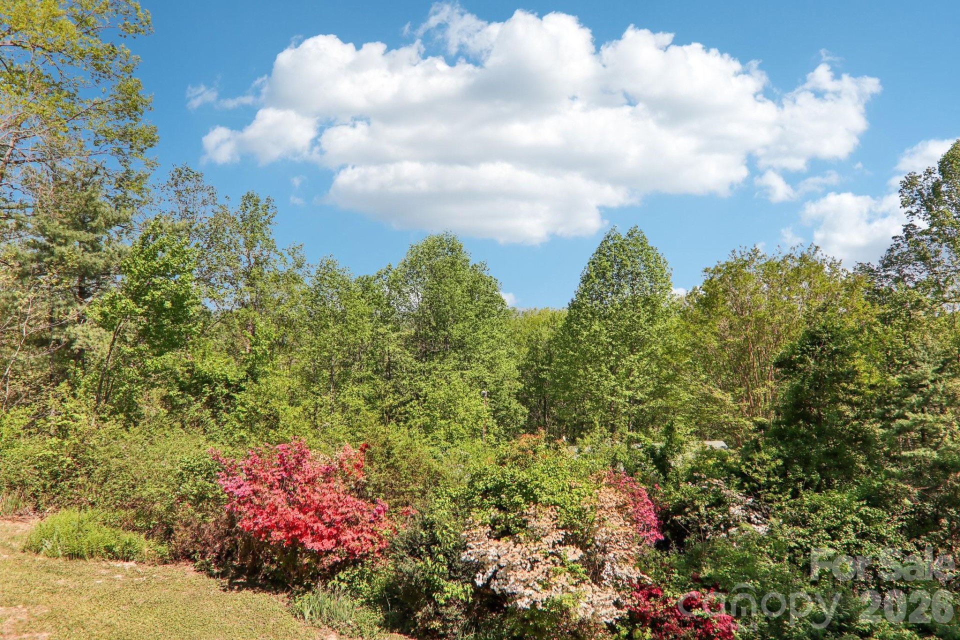 817 Greenwood Drive - Photo 33