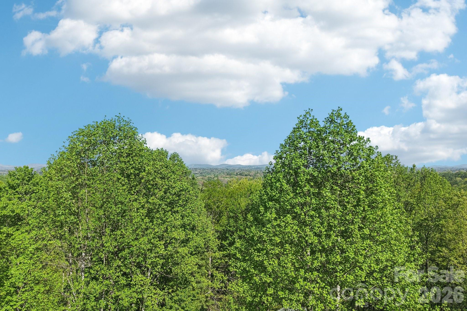 817 Greenwood Drive - Photo 36