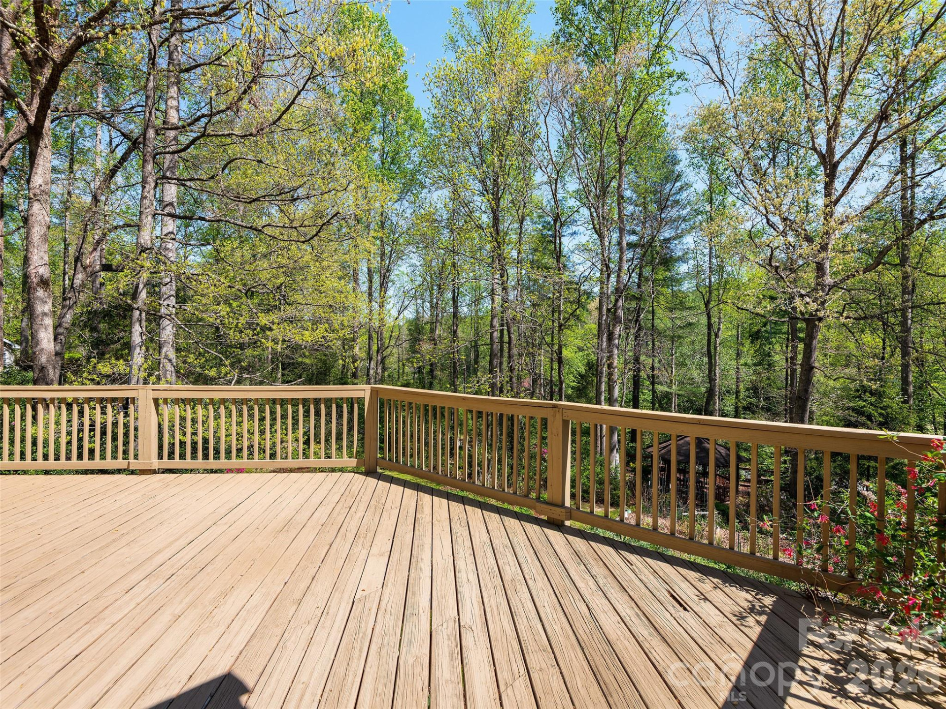 2401 Little River Road - Photo 16