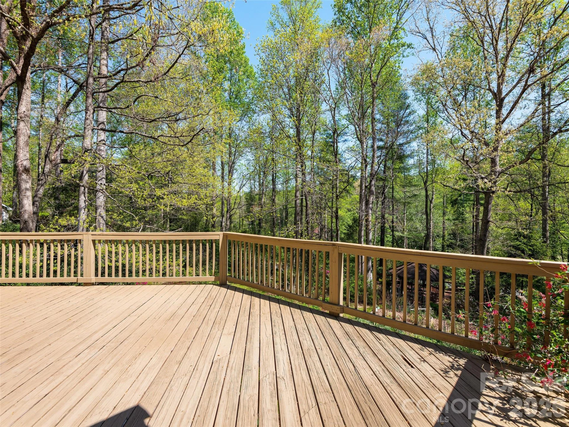 2401 Little River Road - Photo 16