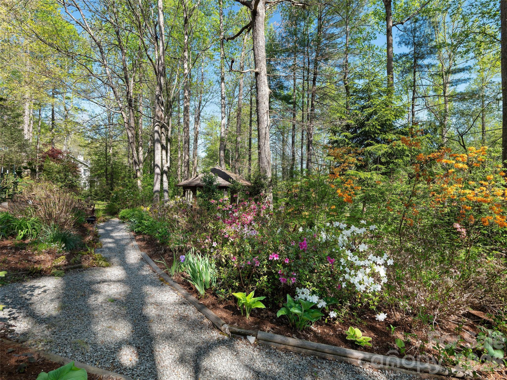 2401 Little River Road - Photo 3