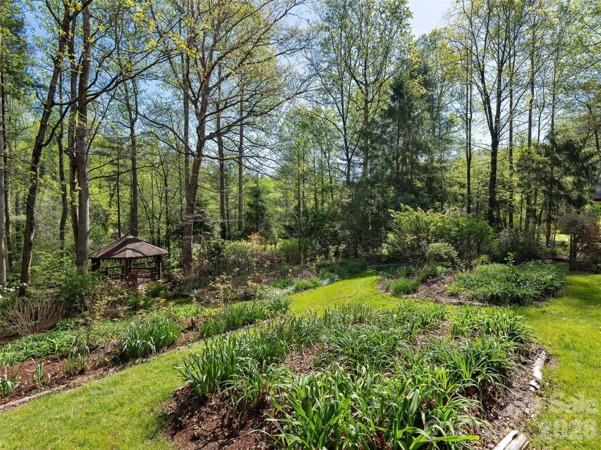 2401 Little River Road - Photo 4