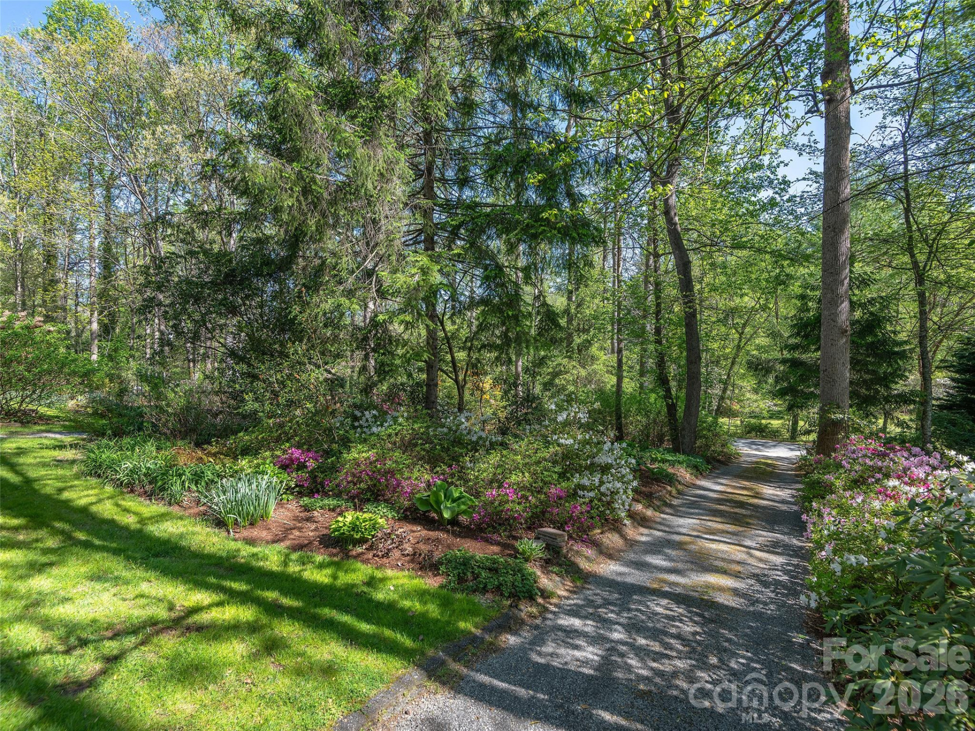 2401 Little River Road - Photo 46