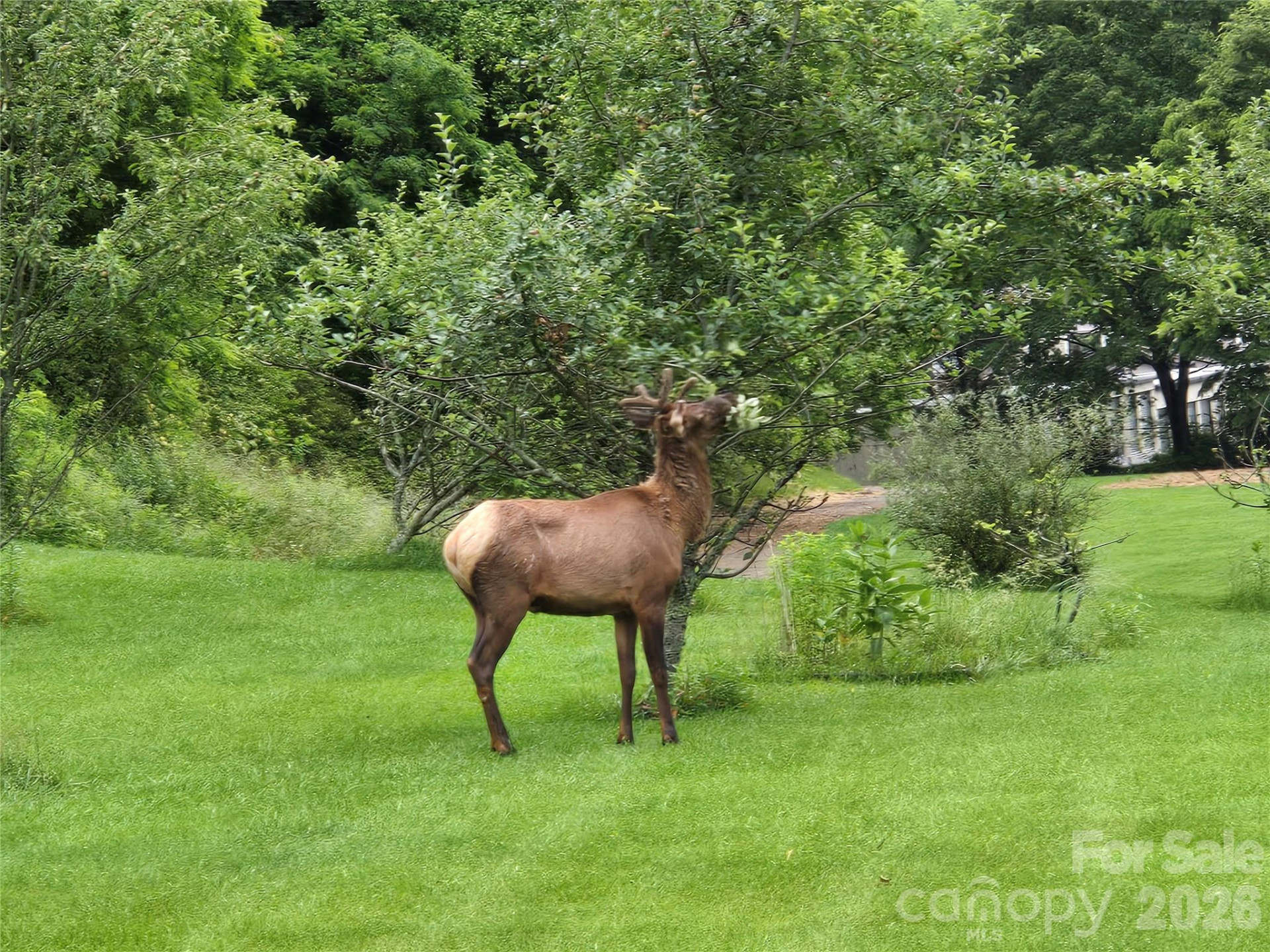 96 Garden Court - Photo 38