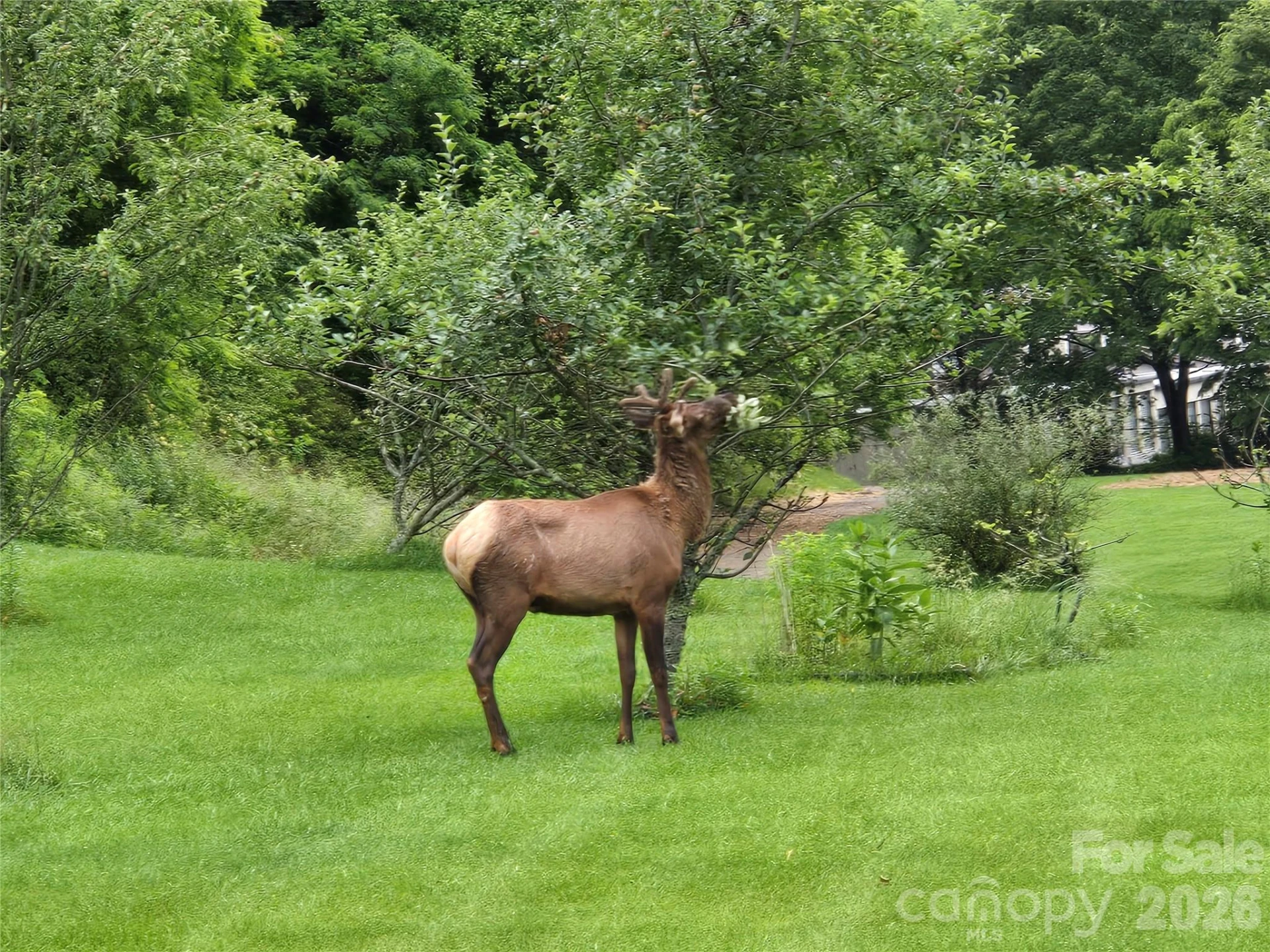 96 Garden Court - Photo 40