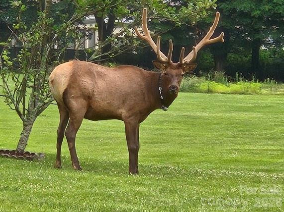 96 Garden Court - Photo 5