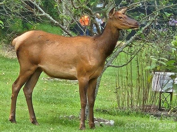 96 Garden Court - Photo 43