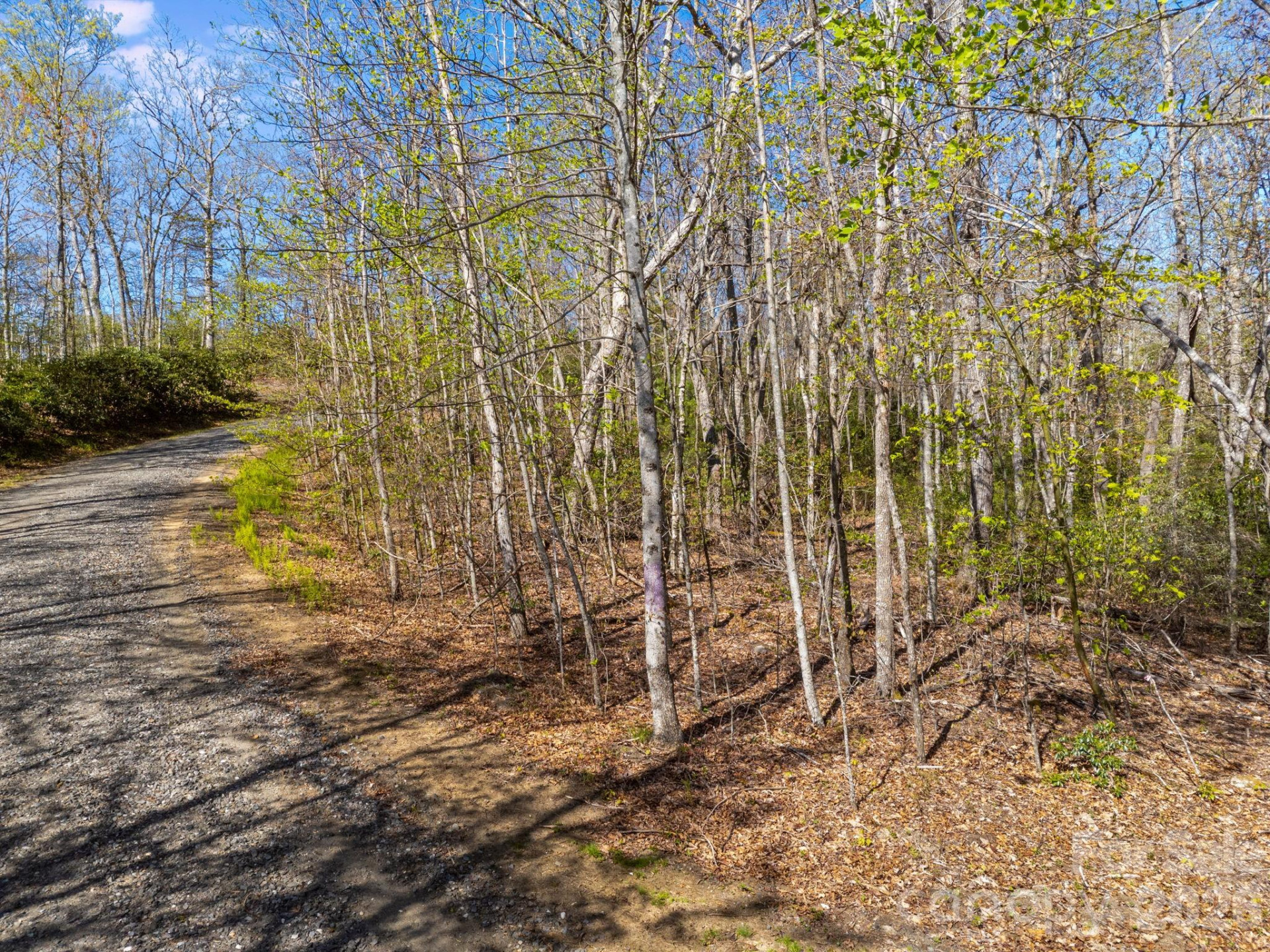Lot 27 Trails End Road #27 - Photo 11