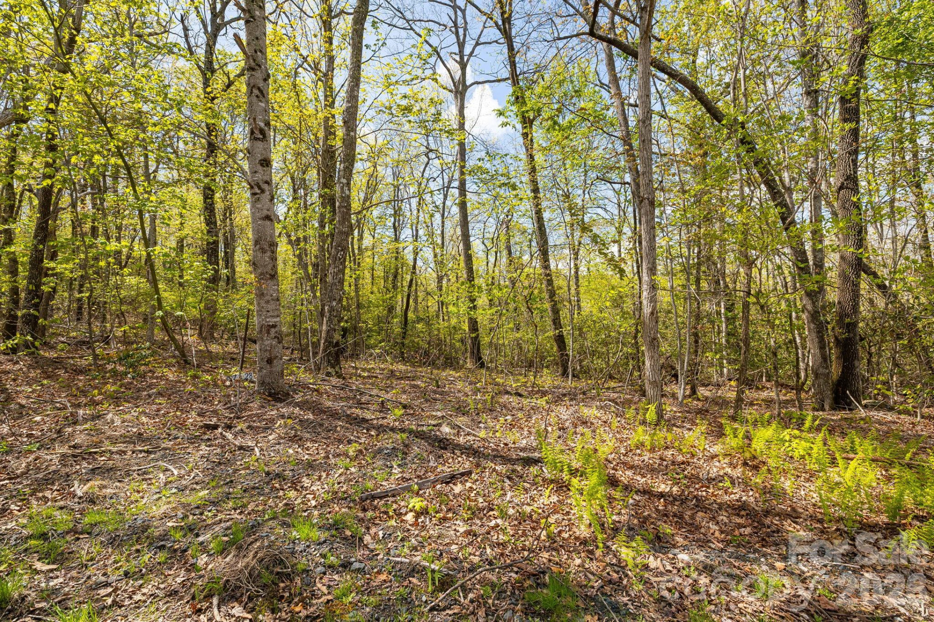 Lot 27 Trails End Road #27 - Photo 12