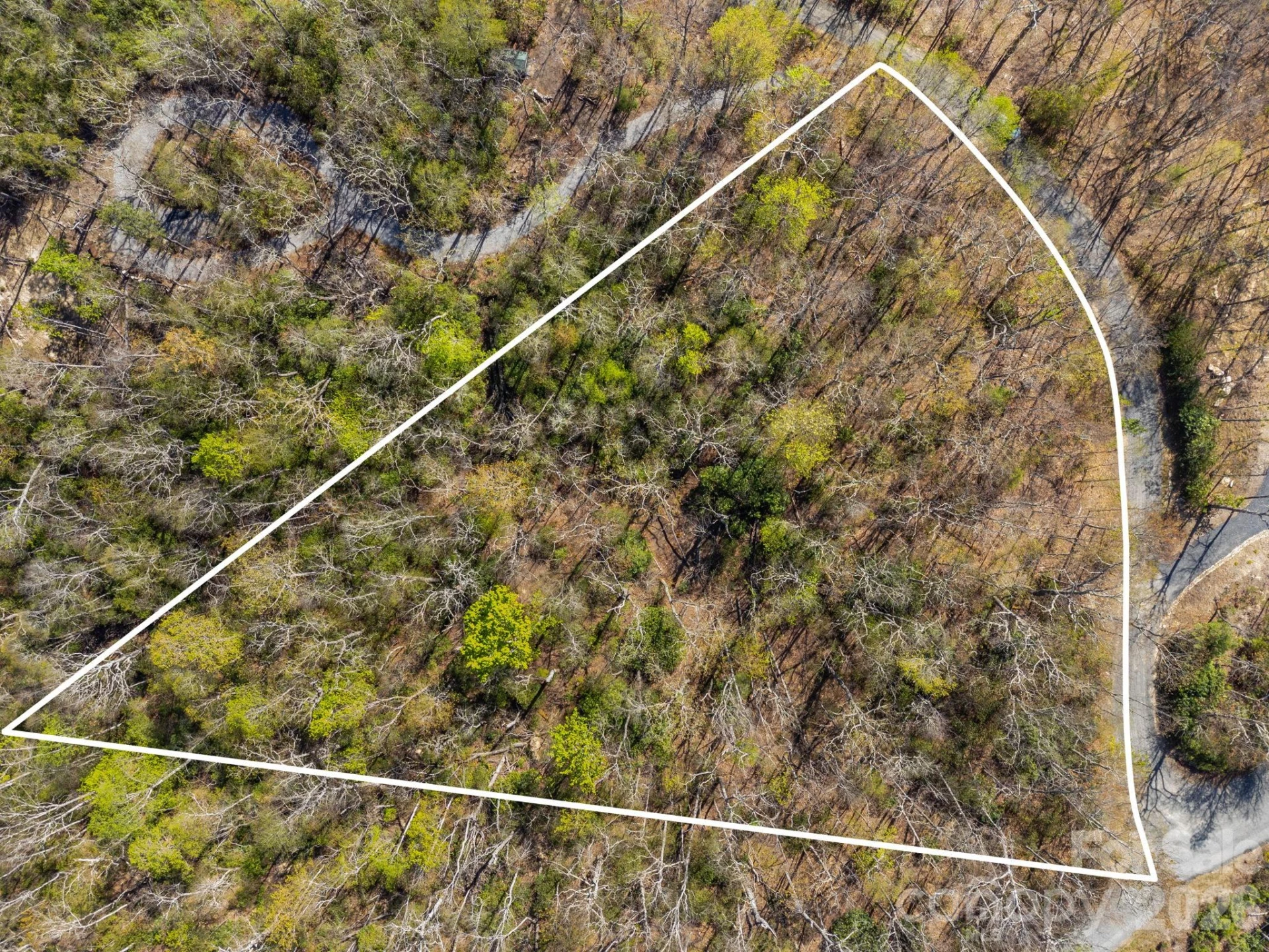 Lot 27 Trails End Road #27 - Photo 6