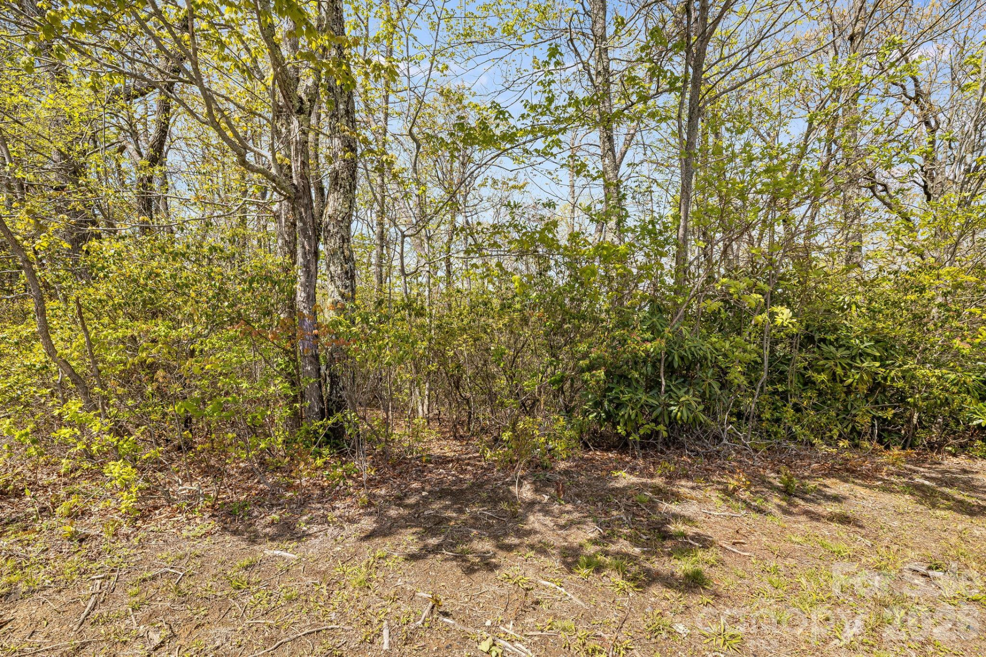 Lot 27 Trails End Road #27 - Photo 13