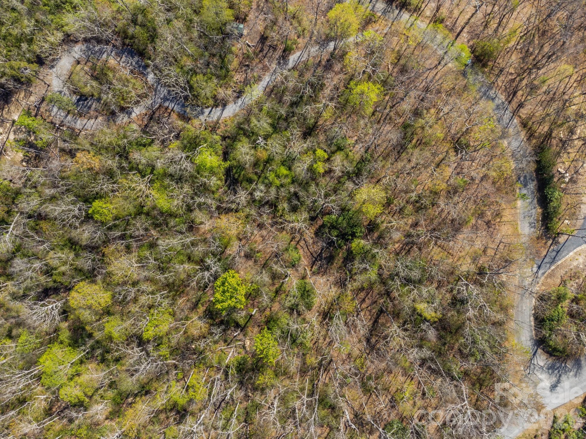 Lot 27 Trails End Road #27 - Photo 20