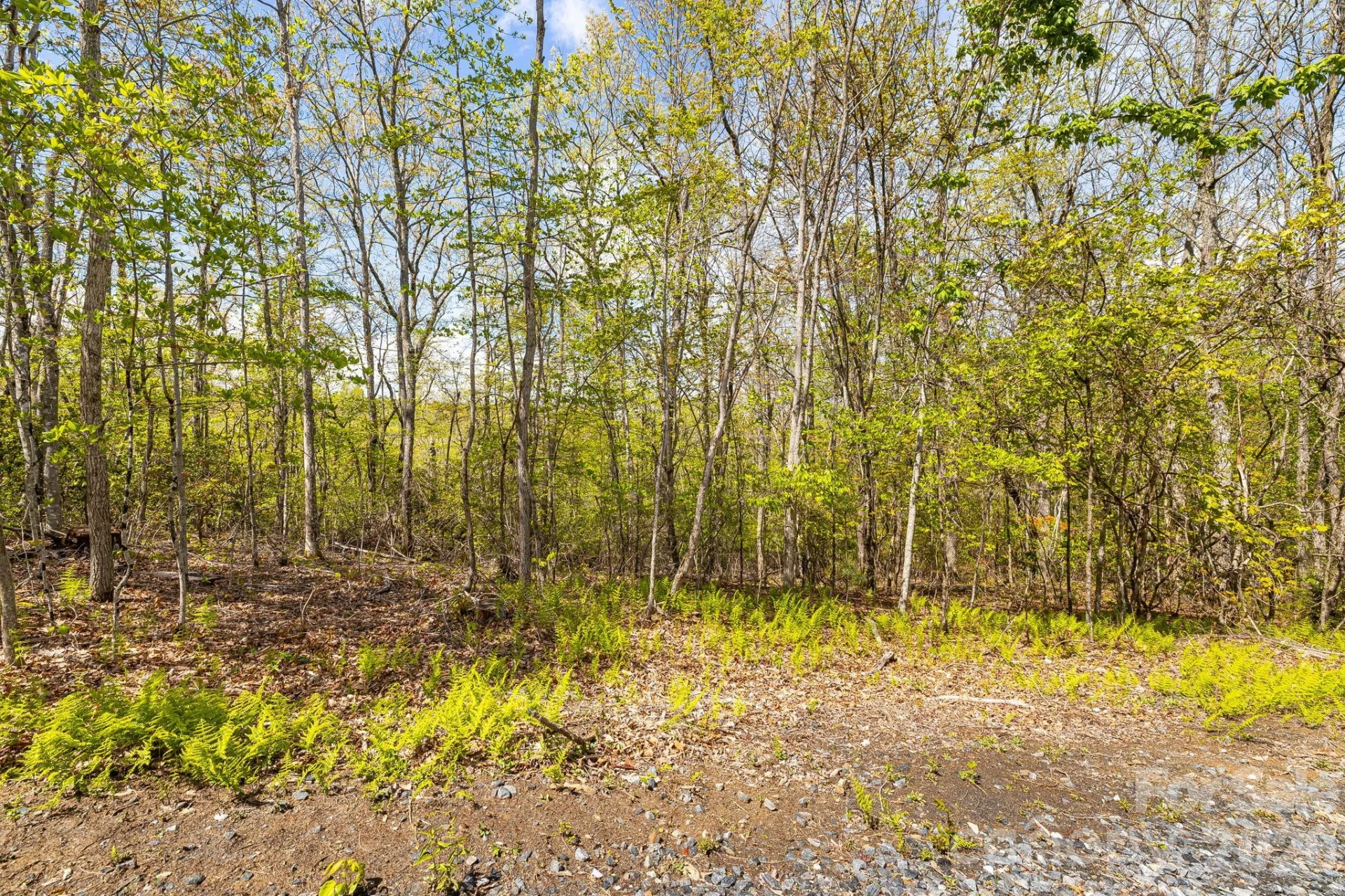 Lot 27 Trails End Road #27 - Photo 42