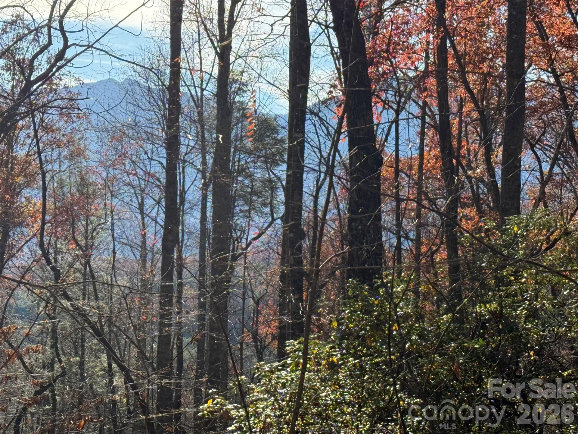 0000 Halls Chapel Road - Photo 2