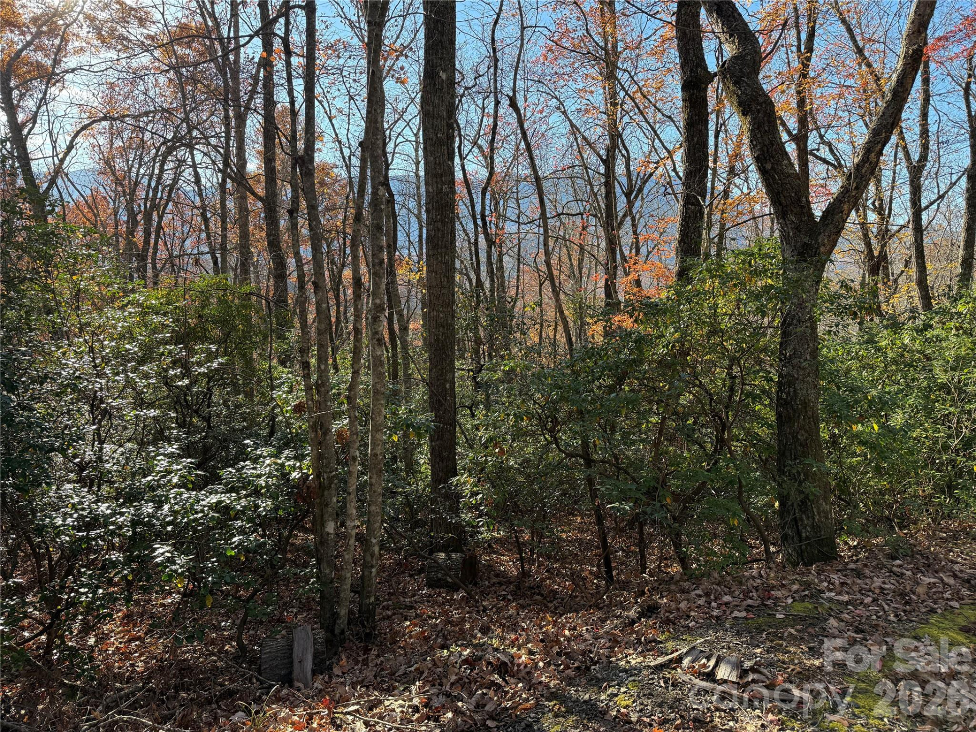 0000 Halls Chapel Road - Photo 11