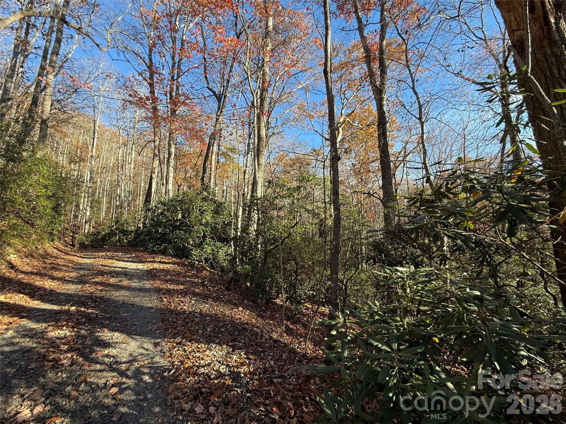 0000 Halls Chapel Road - Photo 12