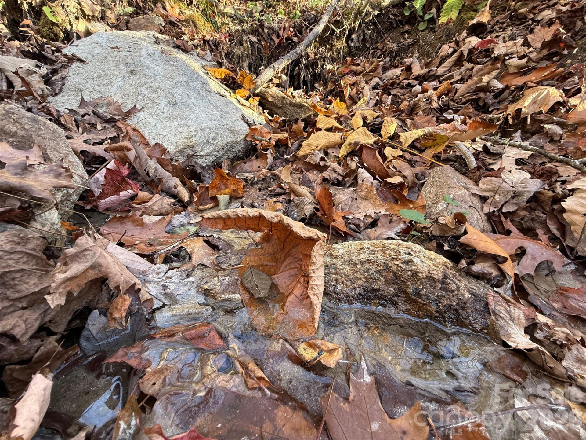 0000 Halls Chapel Road - Photo 13