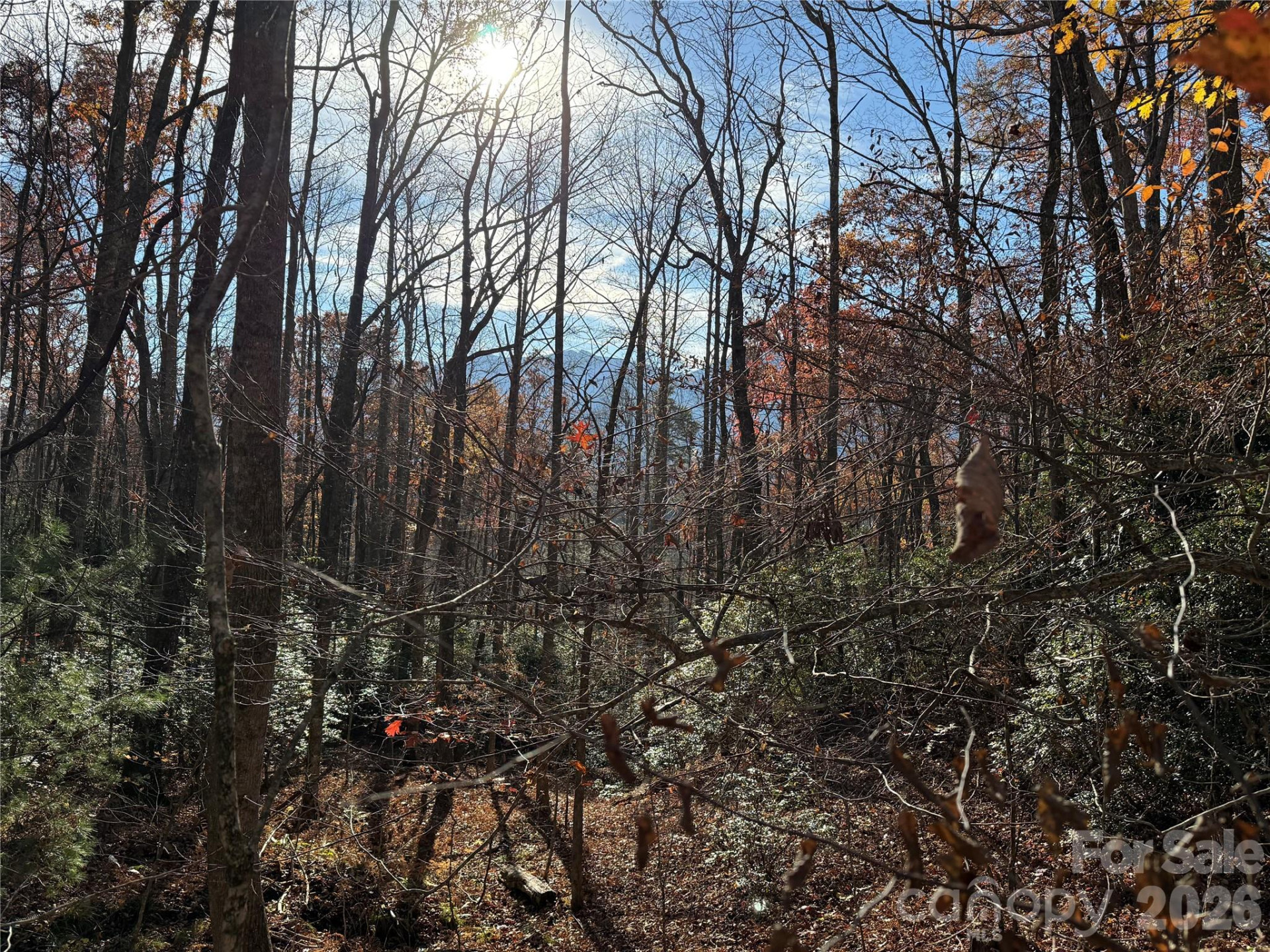 0000 Halls Chapel Road - Photo 15