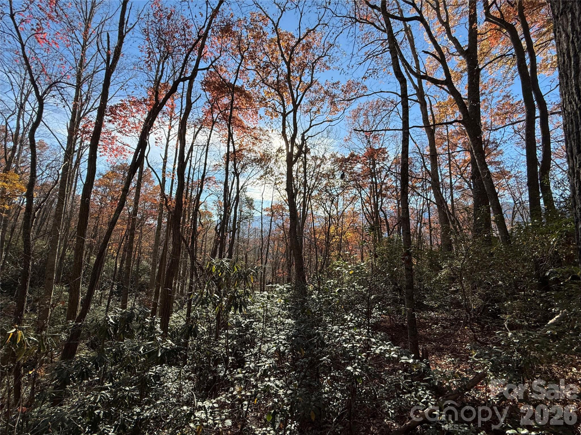 0000 Halls Chapel Road - Photo 16