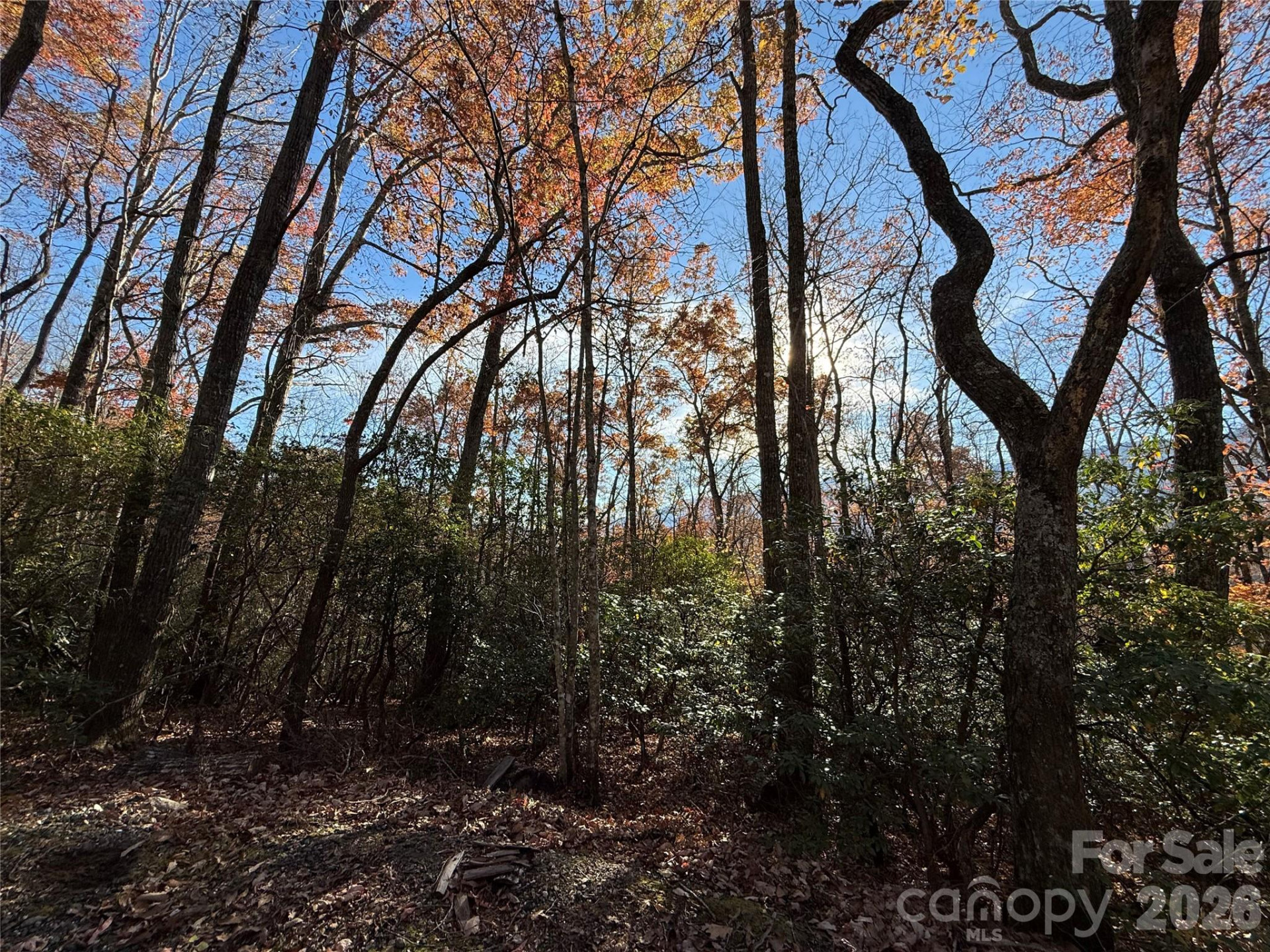 0000 Halls Chapel Road - Photo 17