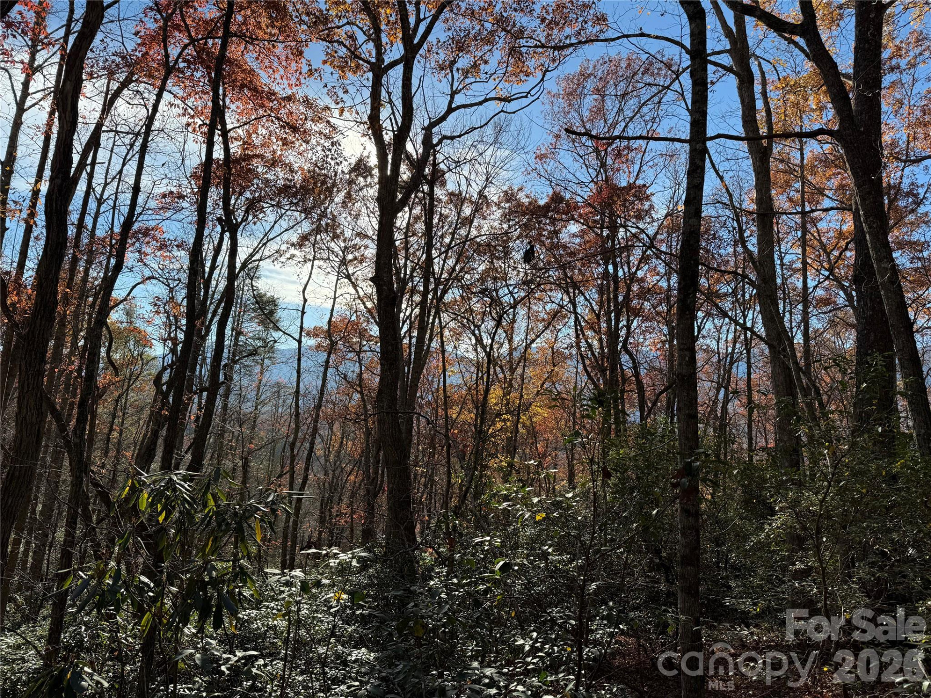 0000 Halls Chapel Road - Photo 18