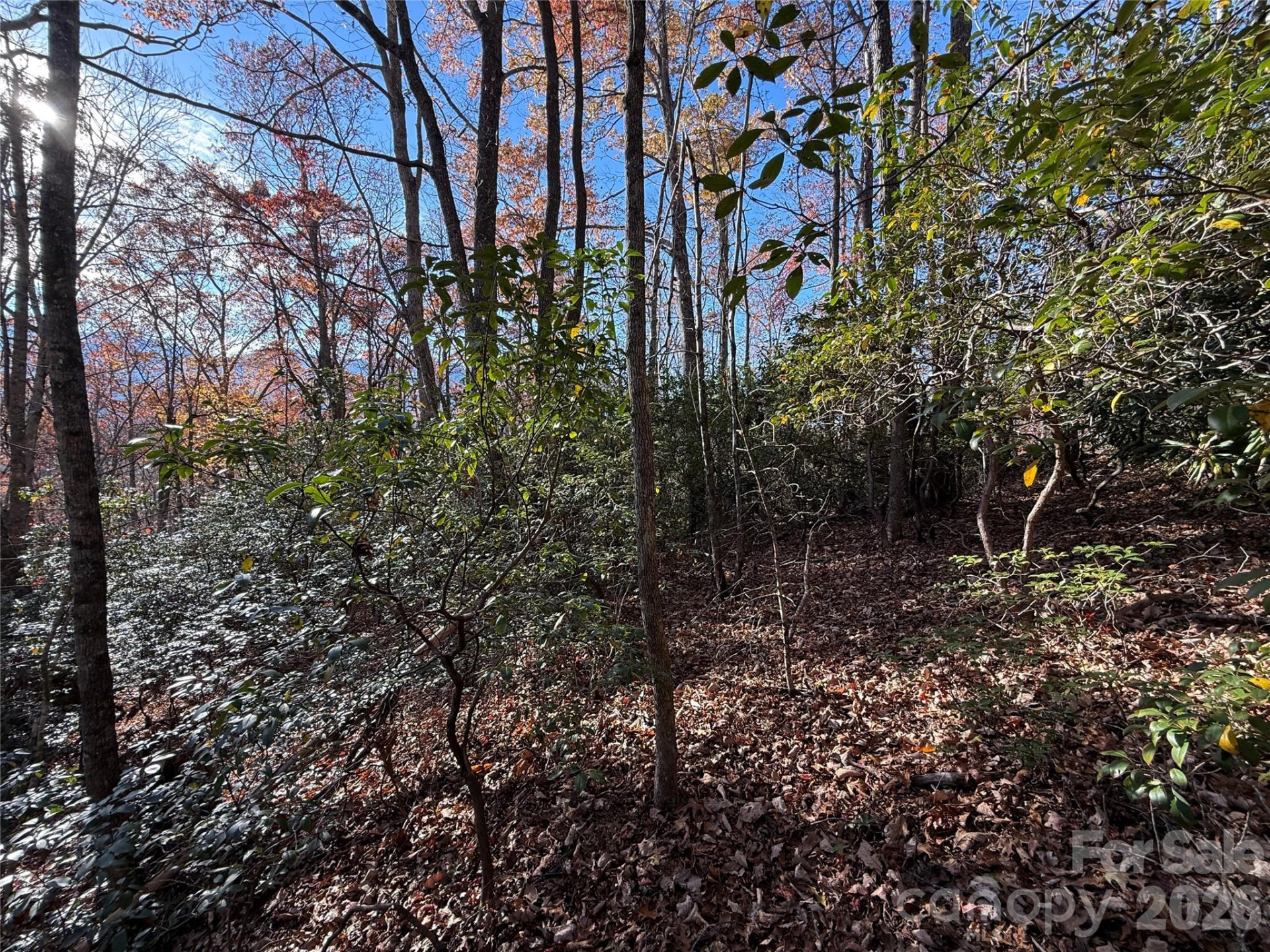 0000 Halls Chapel Road - Photo 19