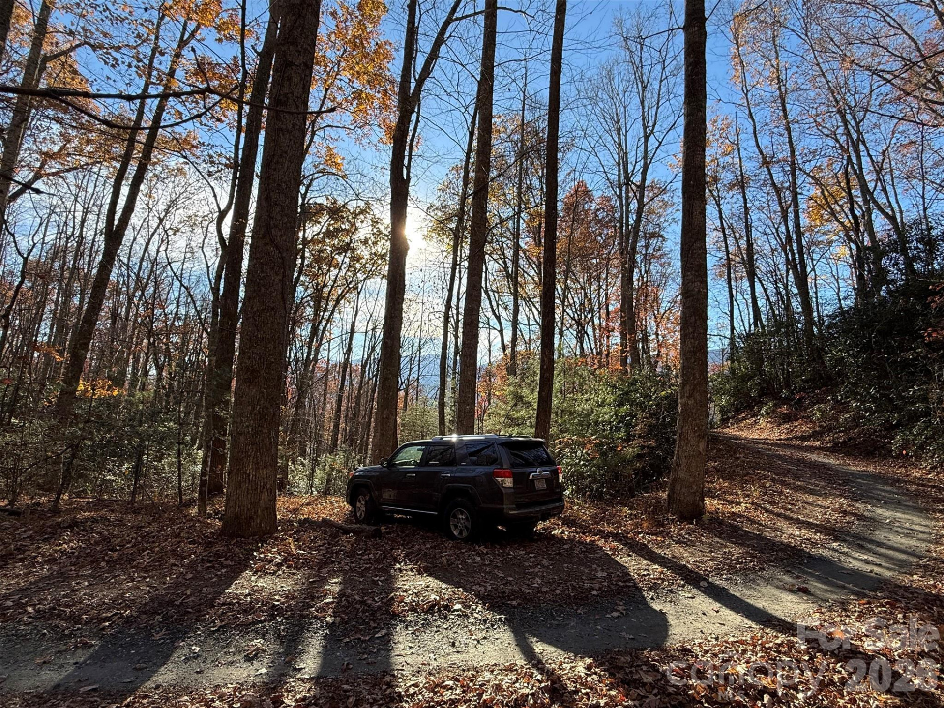 0000 Halls Chapel Road - Photo 20