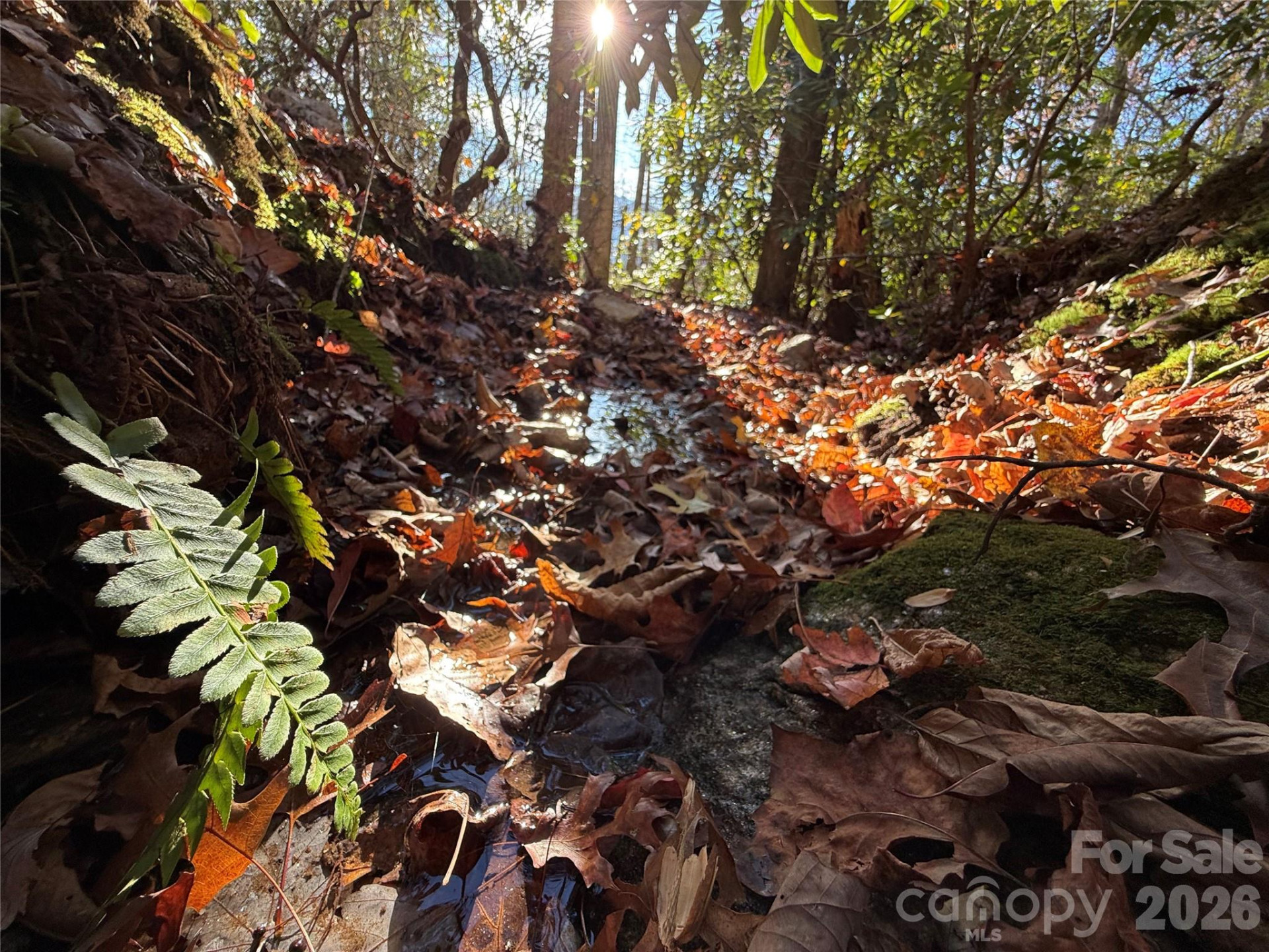 0000 Halls Chapel Road - Photo 3