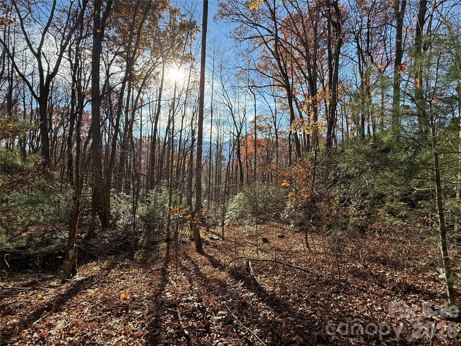 0000 Halls Chapel Road - Photo 21