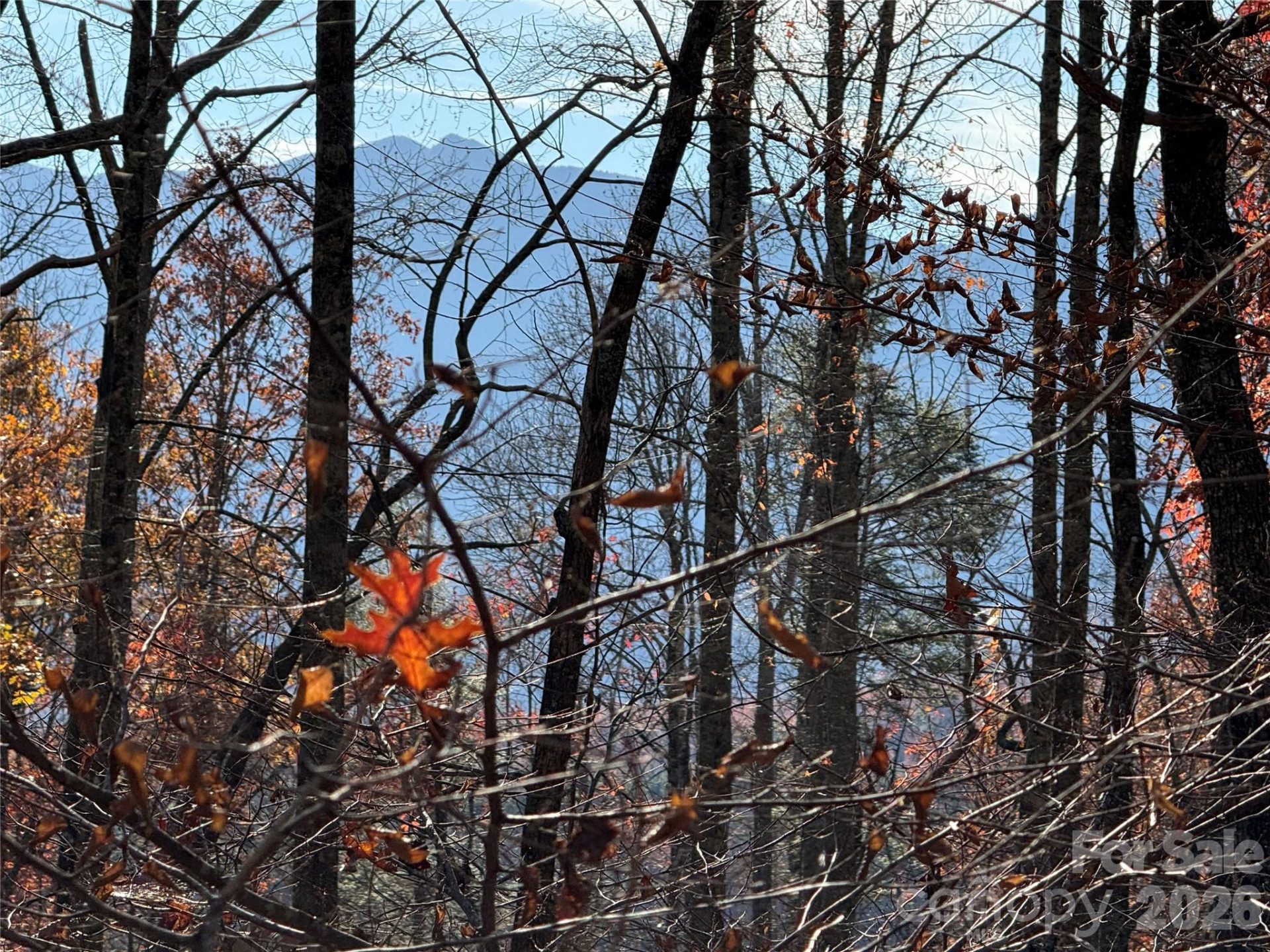 0000 Halls Chapel Road - Photo 22