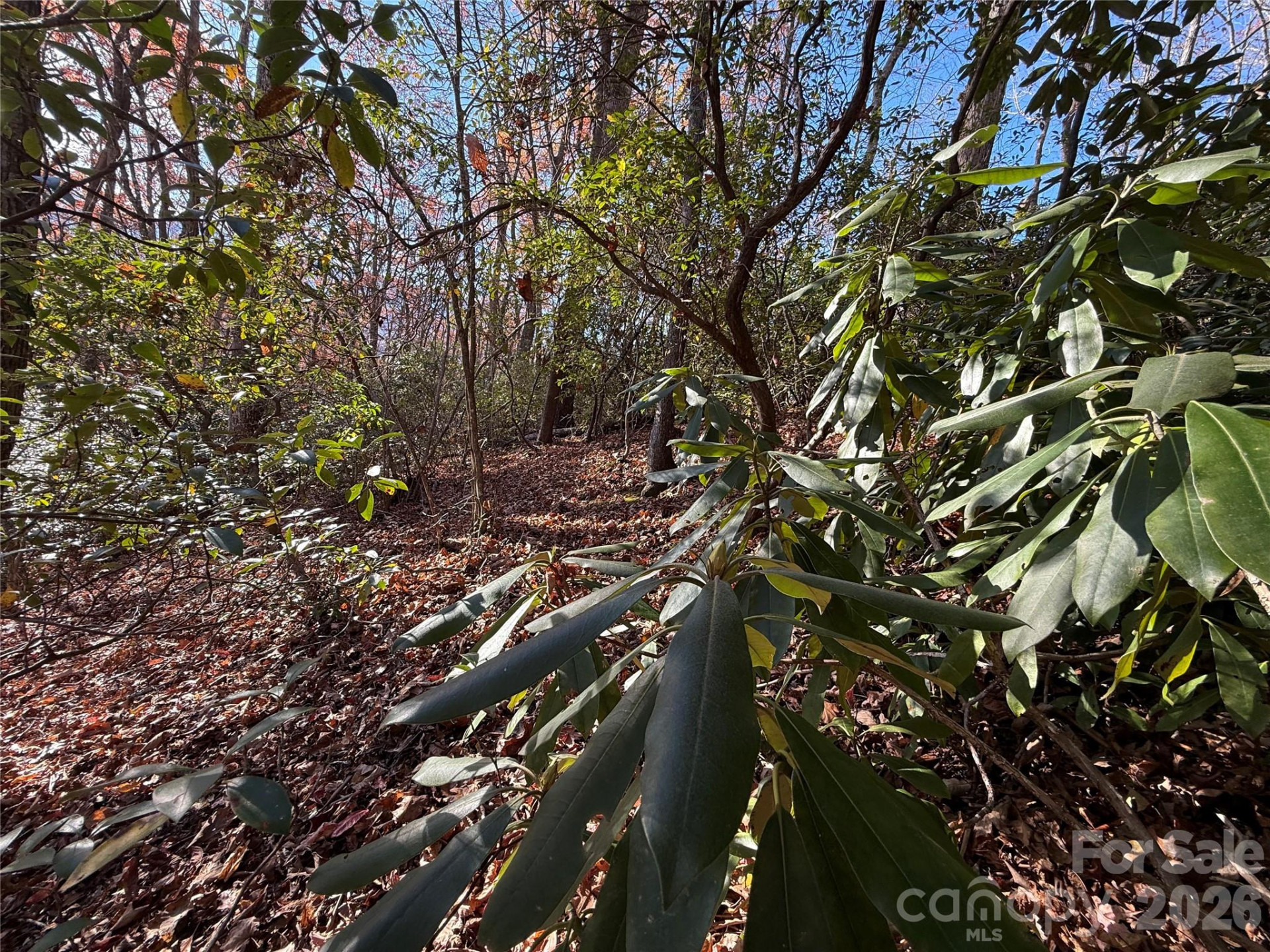 0000 Halls Chapel Road - Photo 23