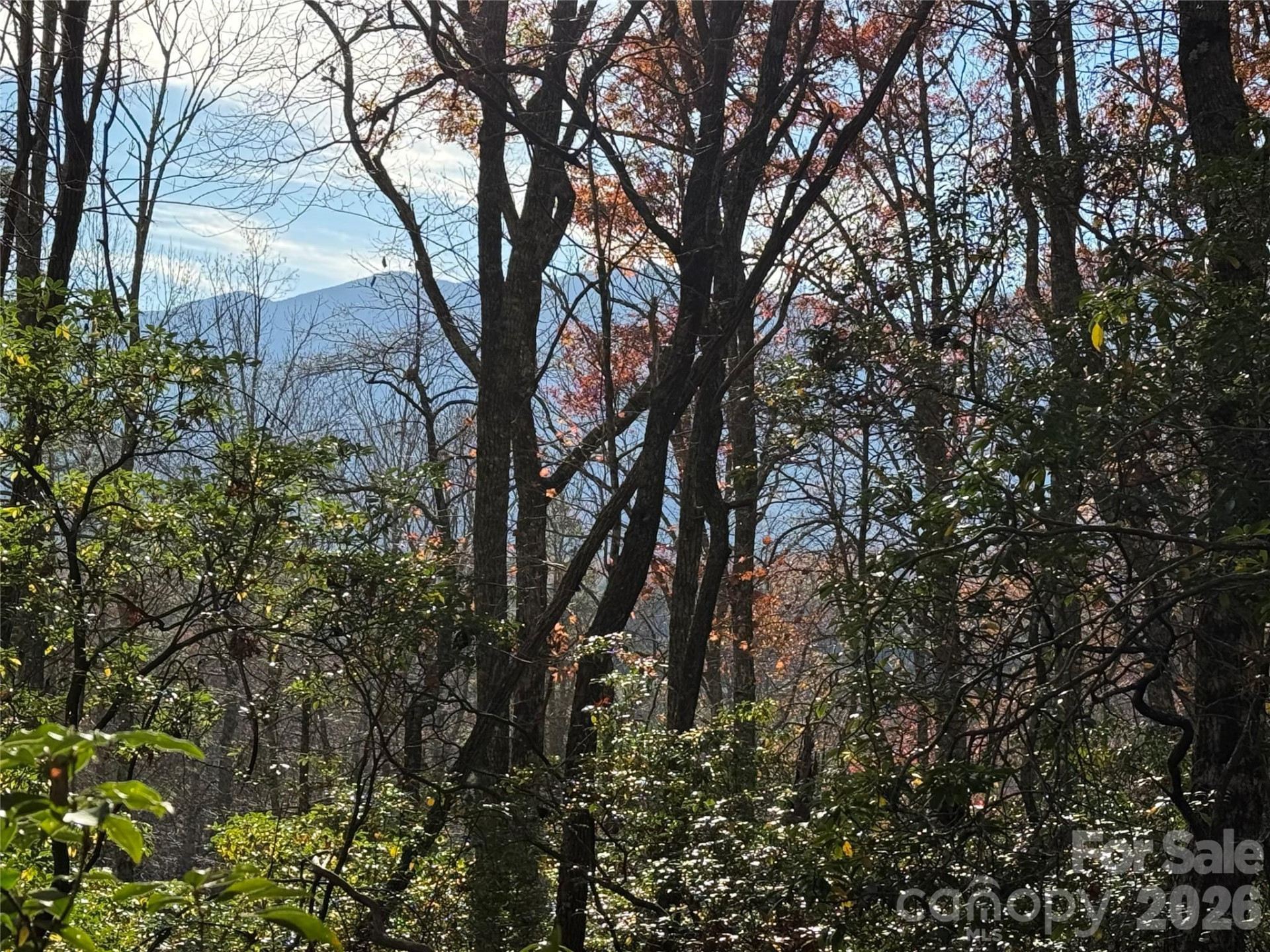 0000 Halls Chapel Road - Photo 24