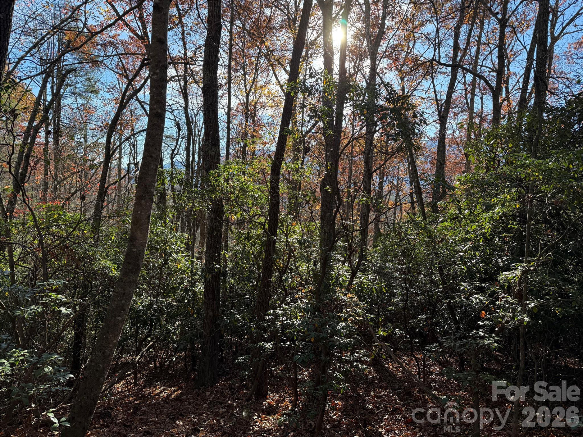 0000 Halls Chapel Road - Photo 25