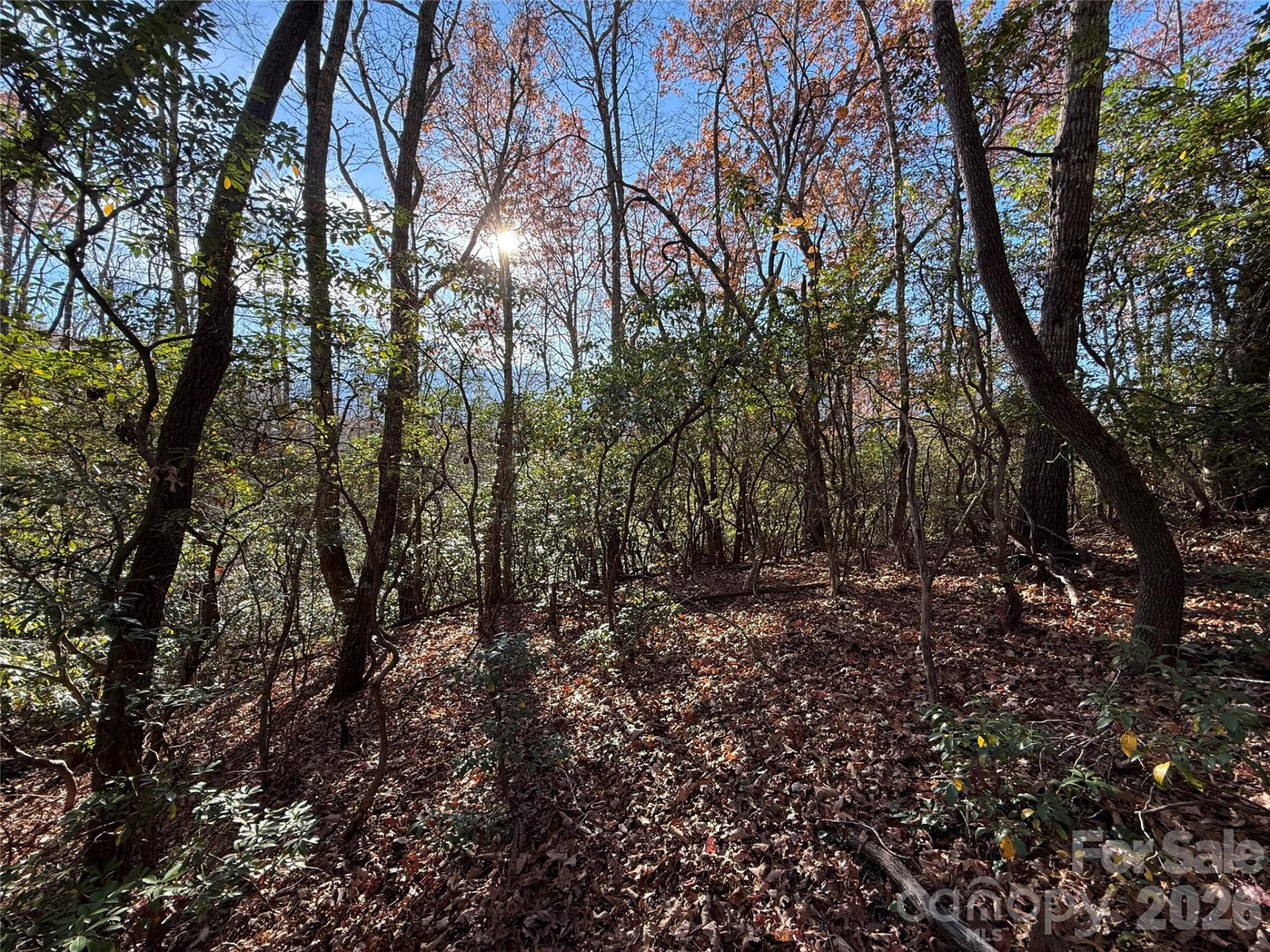 0000 Halls Chapel Road - Photo 26