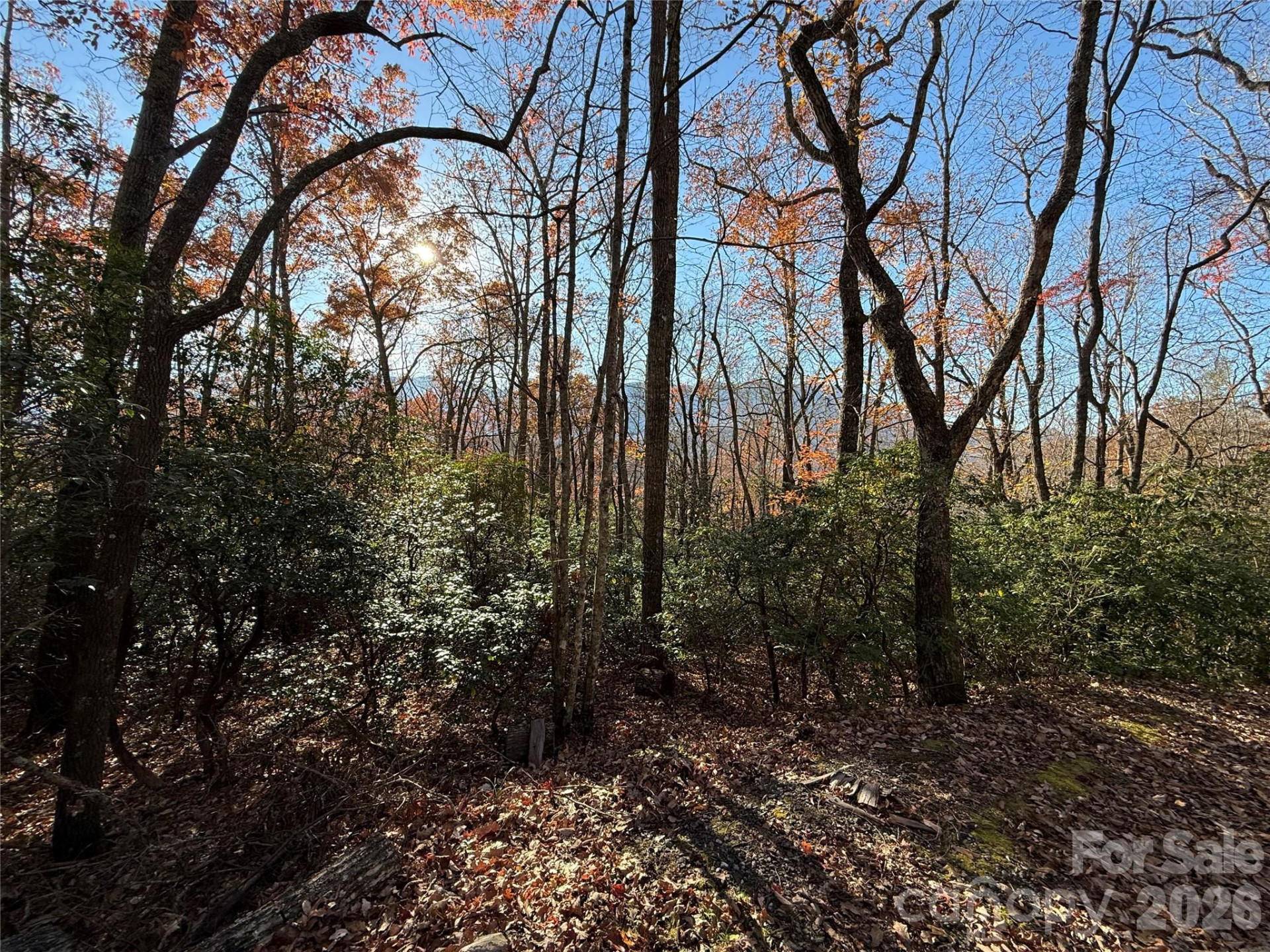 0000 Halls Chapel Road - Photo 27