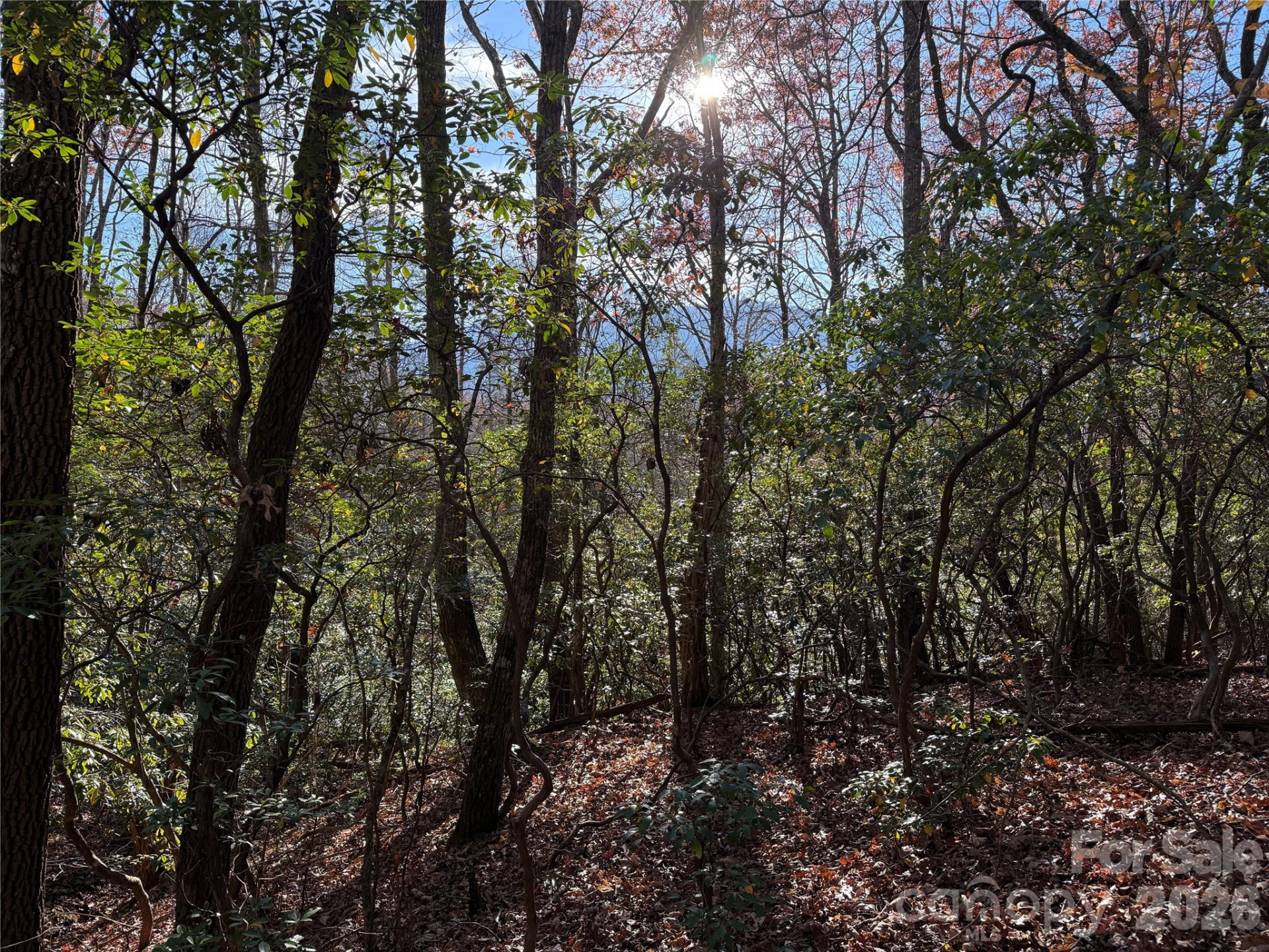 0000 Halls Chapel Road - Photo 28