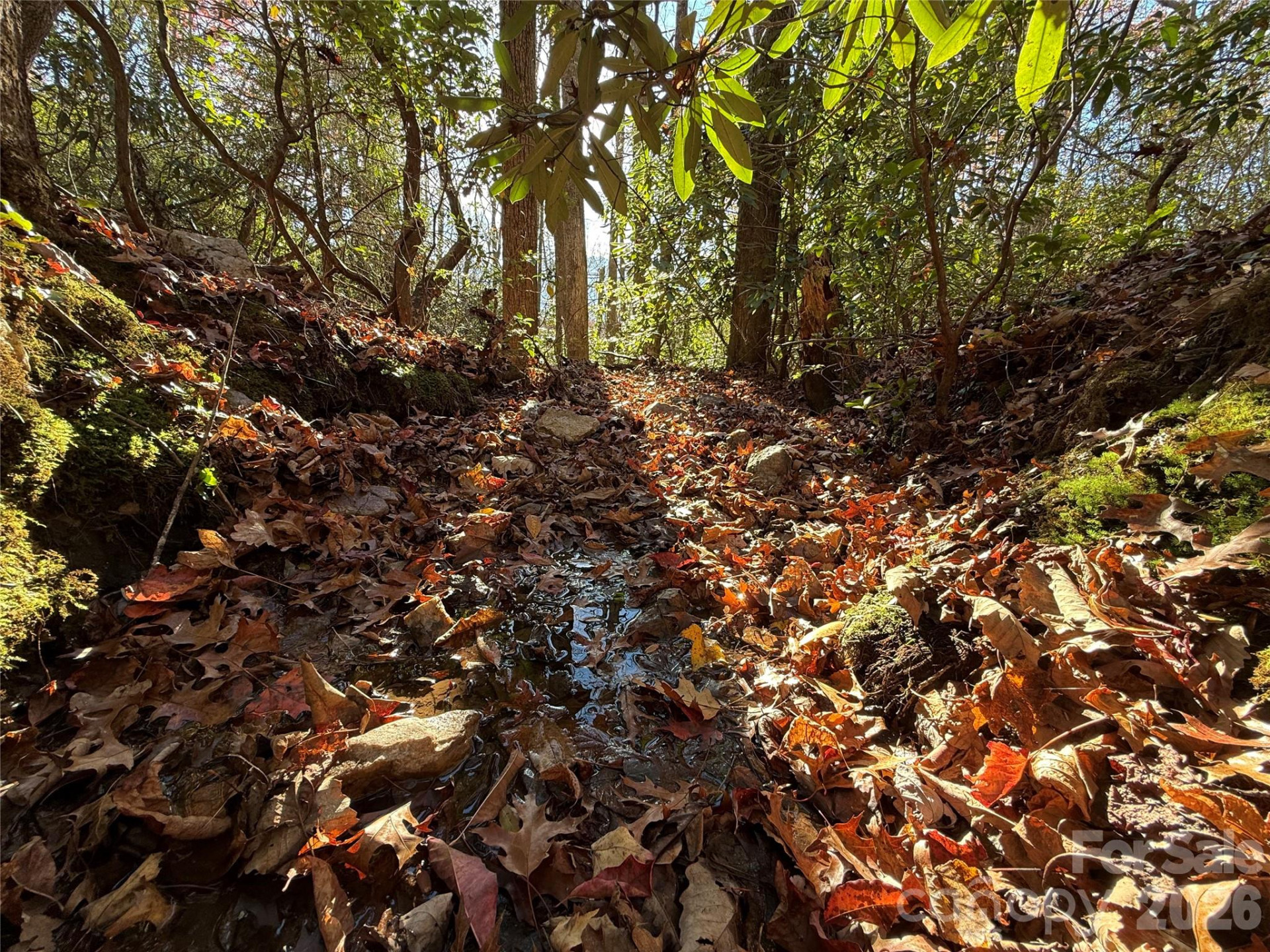 0000 Halls Chapel Road - Photo 29