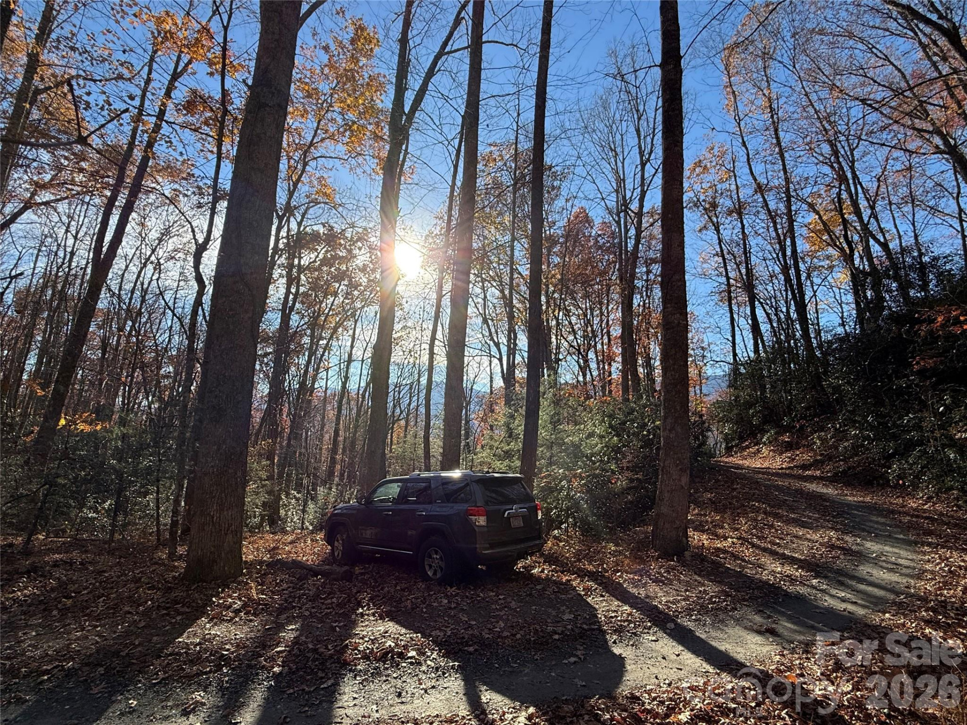 0000 Halls Chapel Road - Photo 30