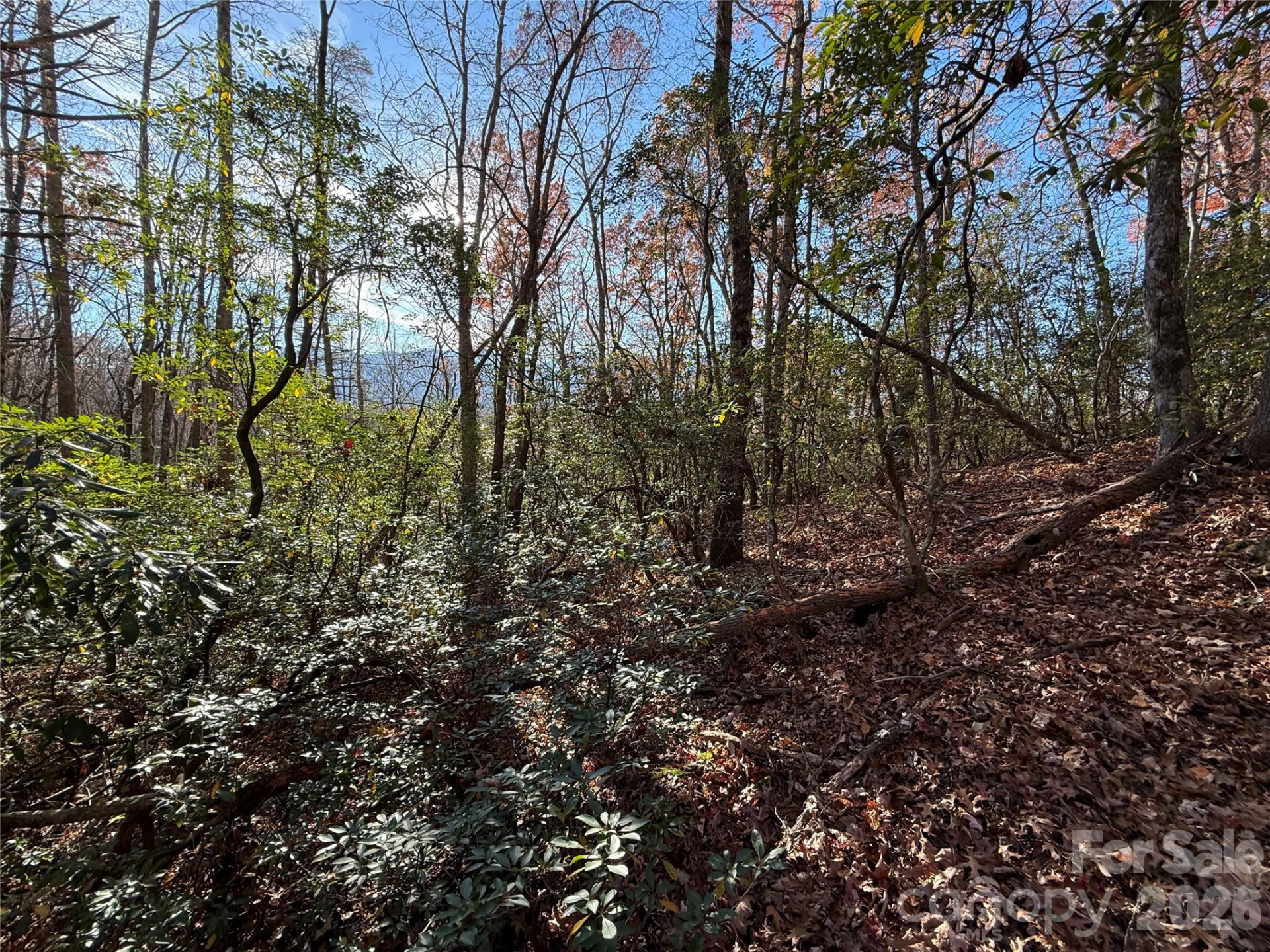 0000 Halls Chapel Road - Photo 4