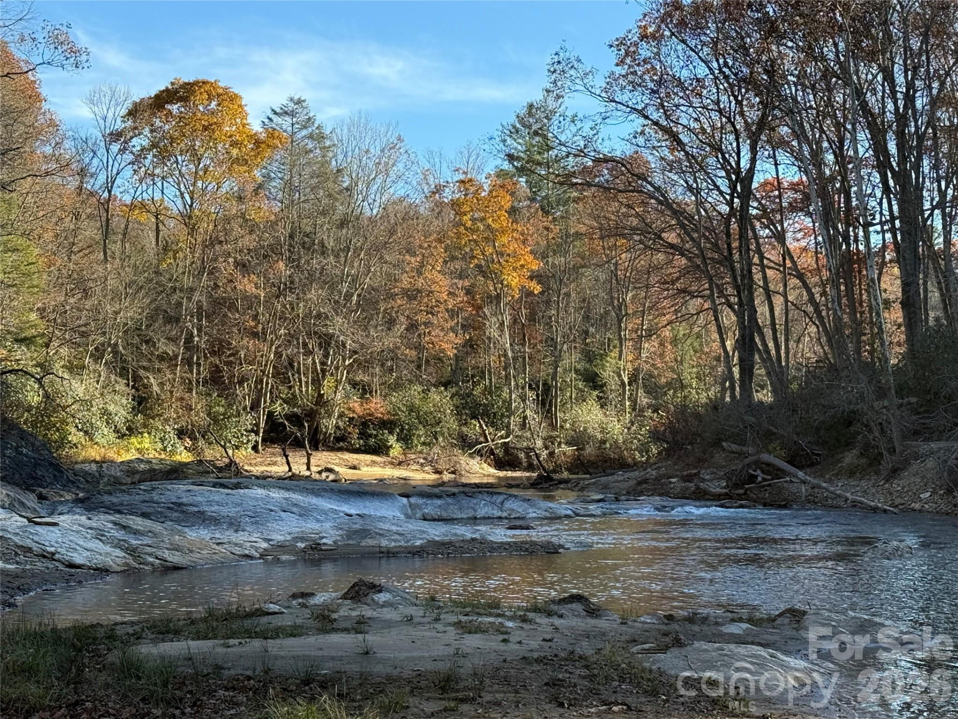 0000 Halls Chapel Road - Photo 6