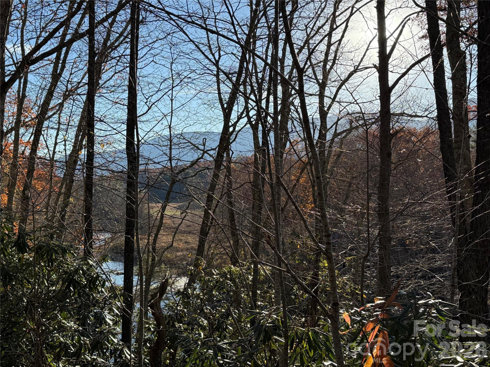 0000 Halls Chapel Road - Photo 8