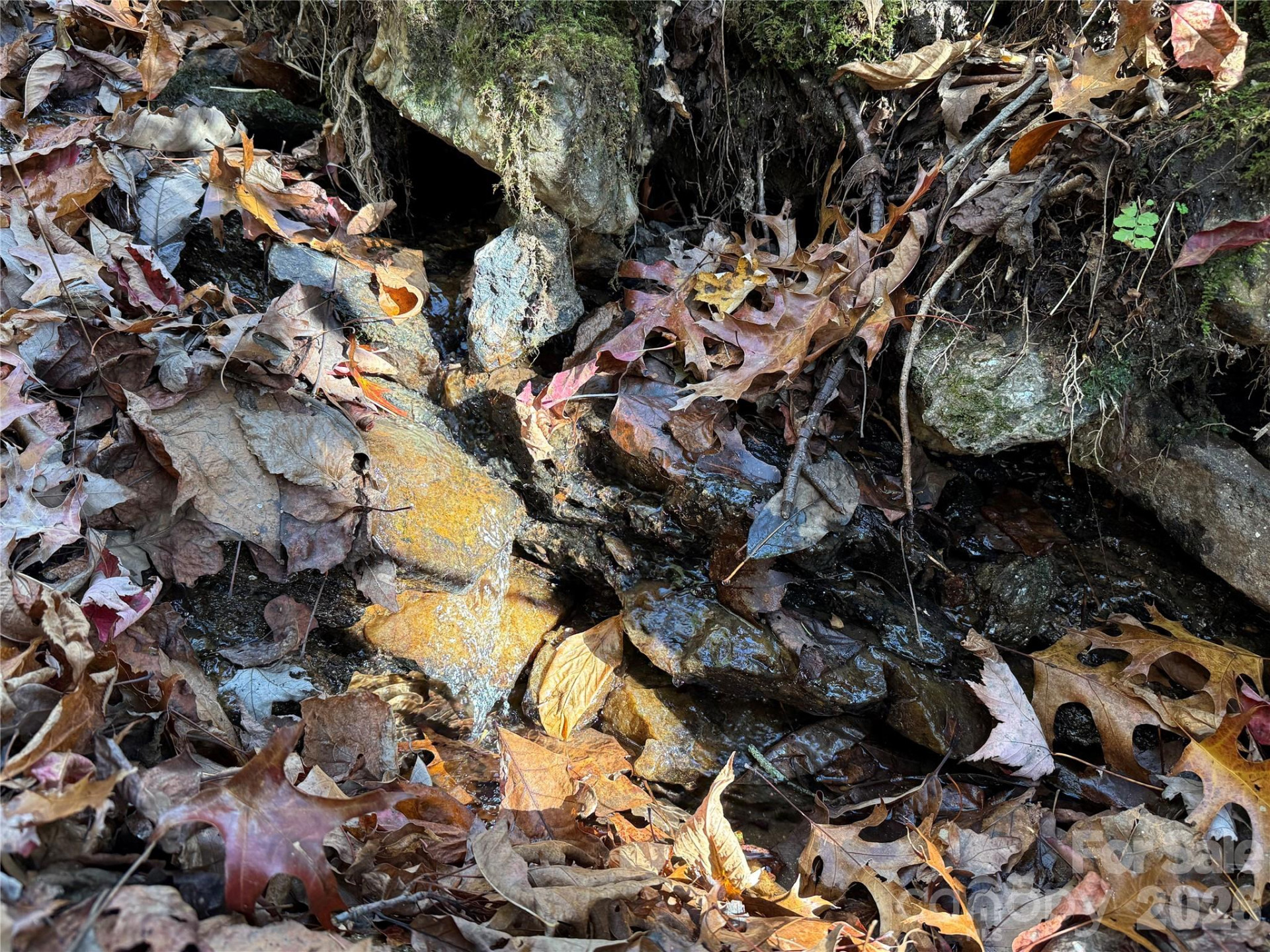 0000 Halls Chapel Road - Photo 9