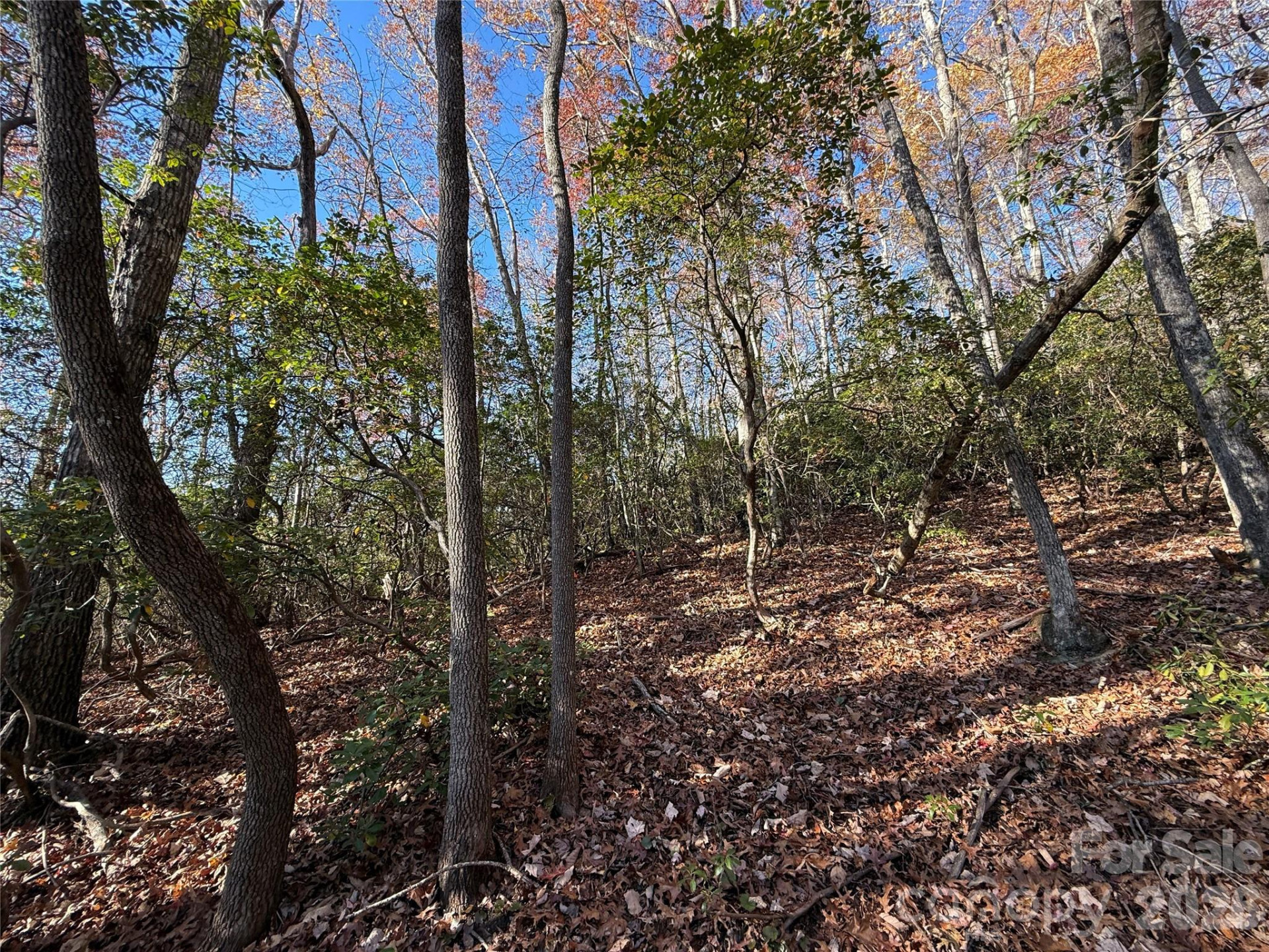 0000 Halls Chapel Road - Photo 10