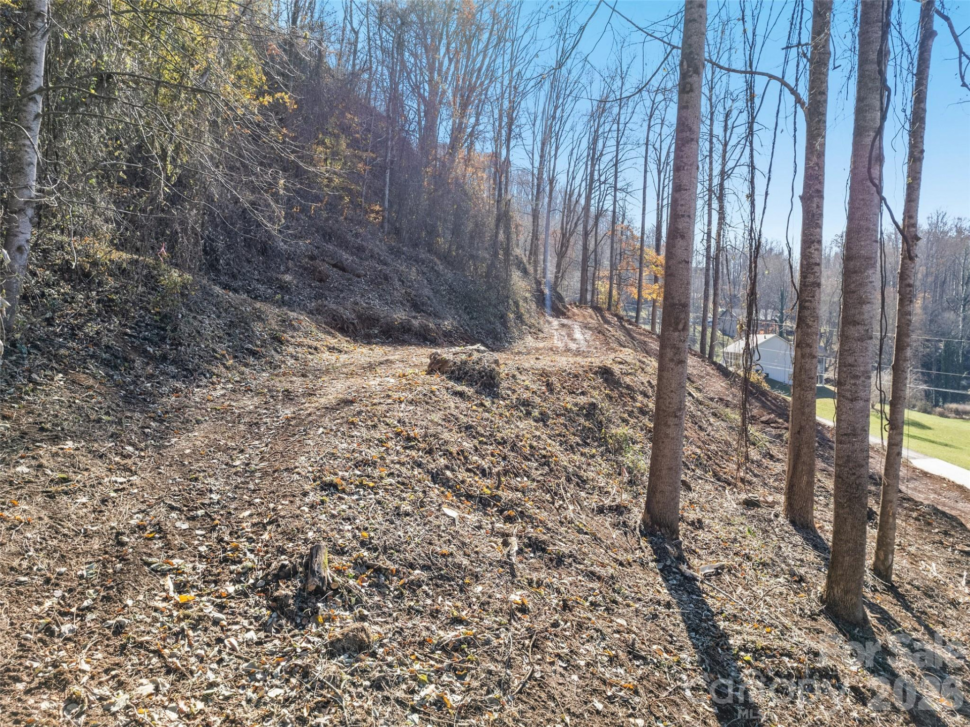 Tract 2: Lot 3 Fisher Creek Road - Photo 3