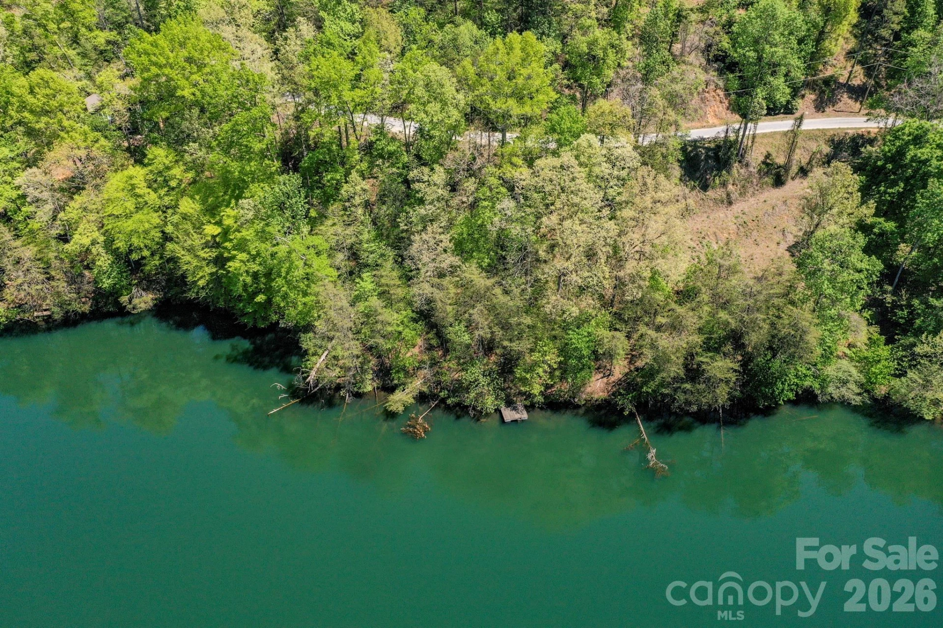 0000 Adams Lane - Photo 4