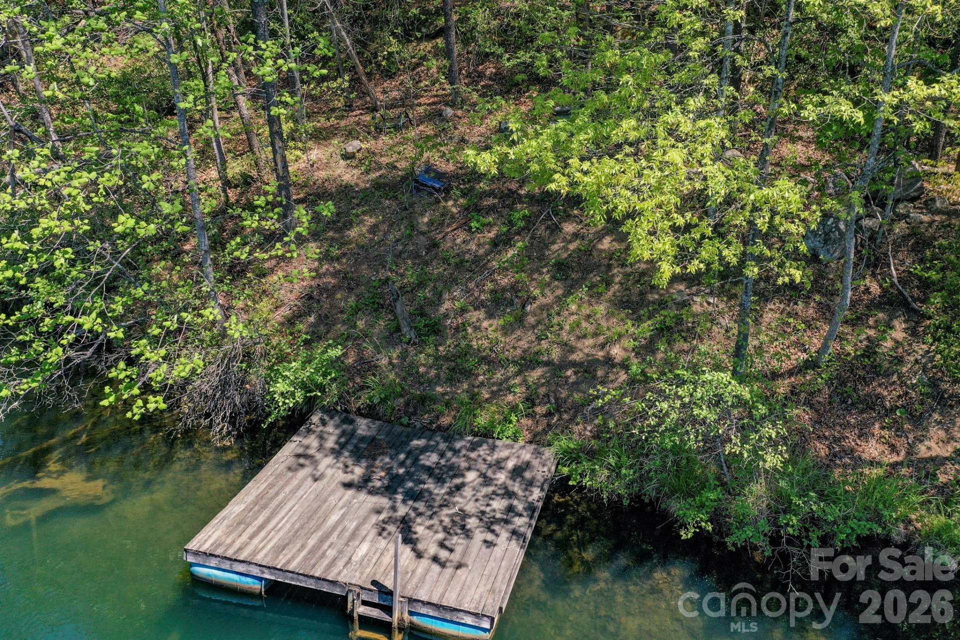 0000 Adams Lane - Photo 6