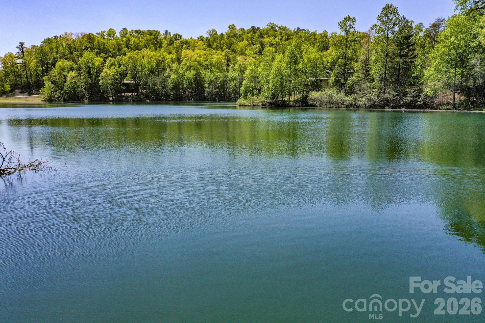 0000 Adams Lane - Photo 7